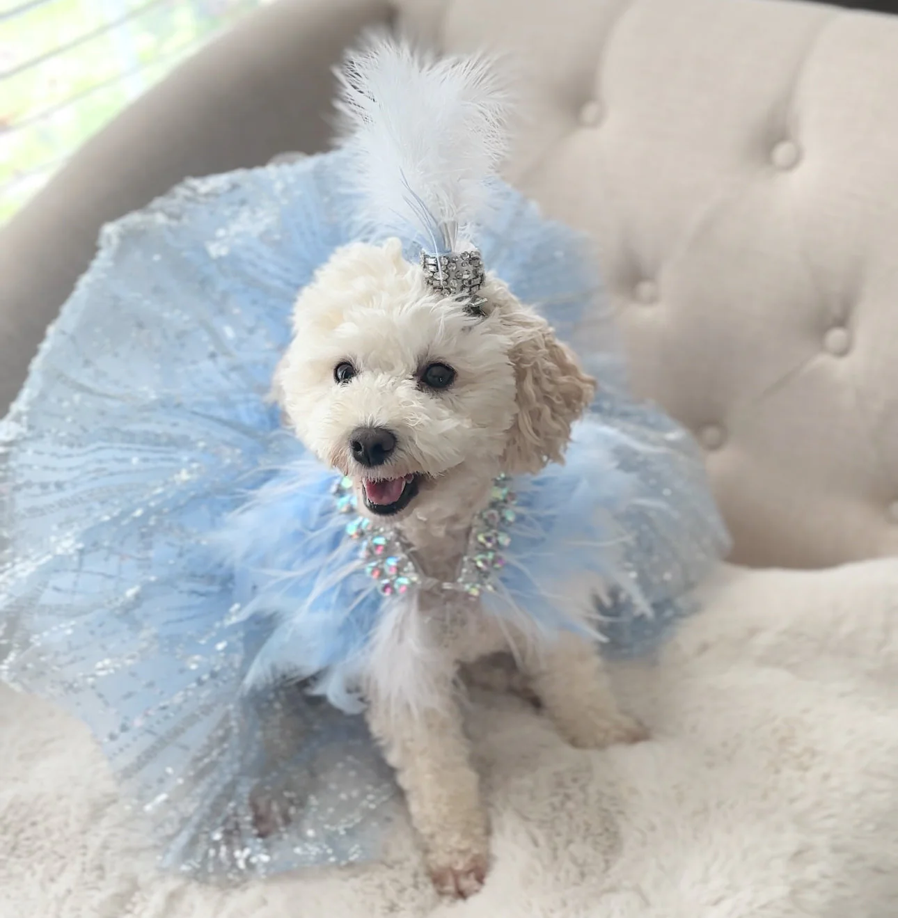 Fairytale Feathers: The Cinderella - Image 2