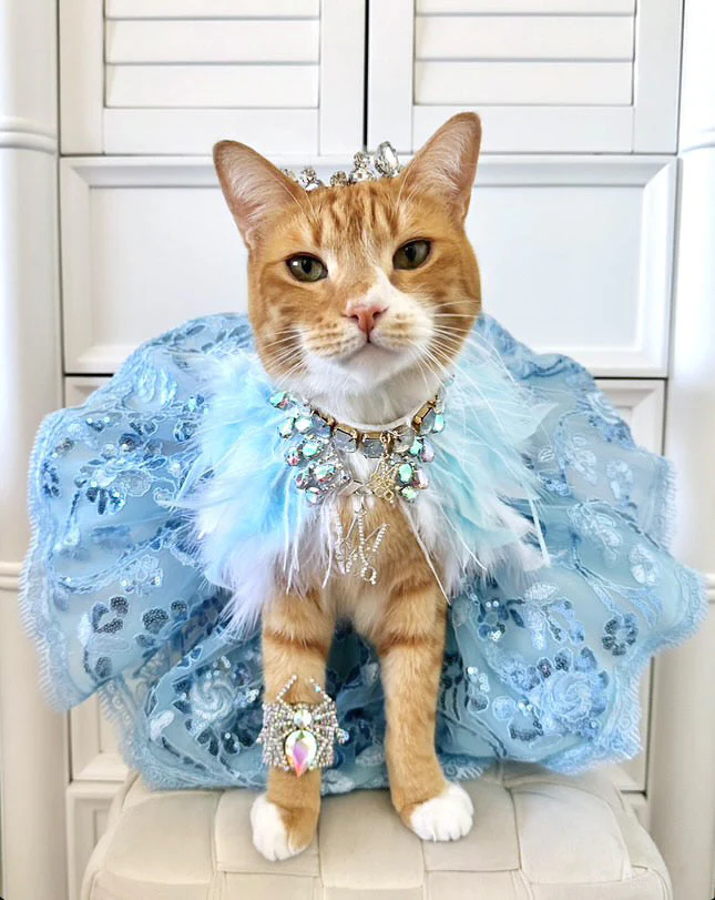 Fairytale Feathers: The Cinderella - Image 3