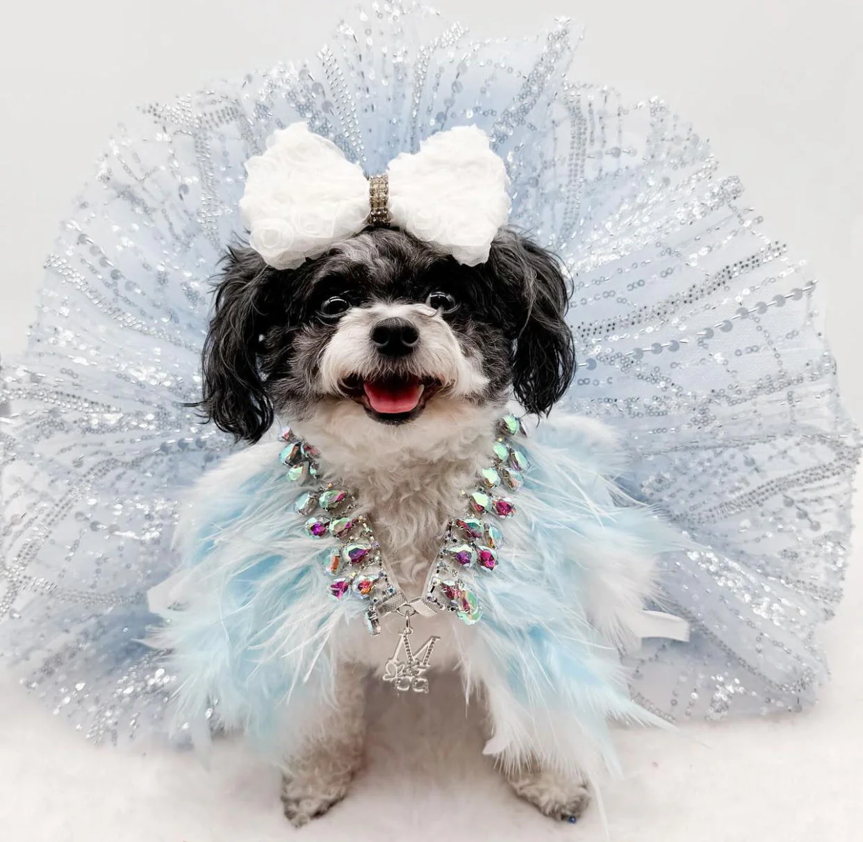 Fairytale Feathers: The Cinderella - Image 4