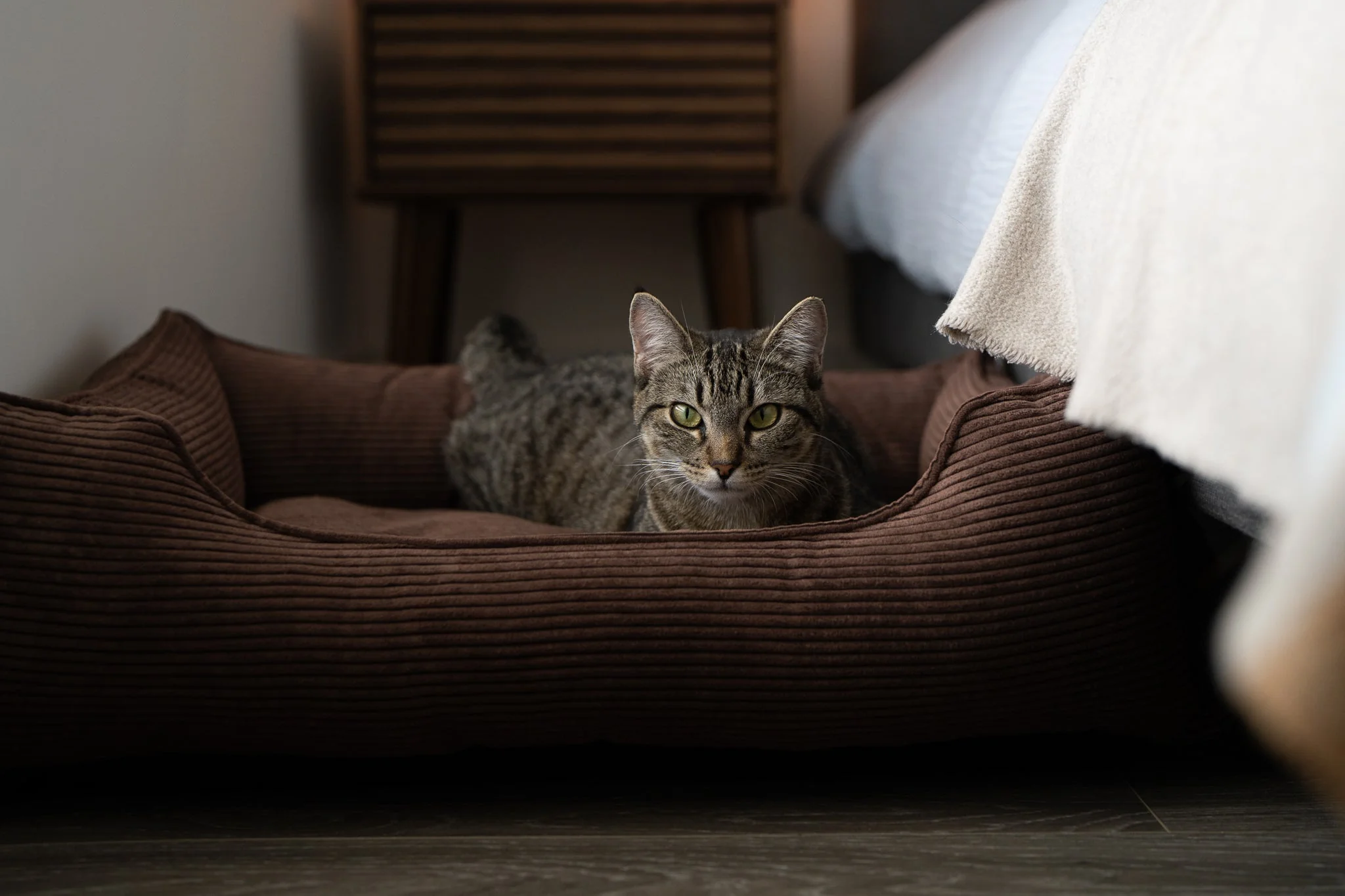 Fancy Corduroy Sleeper Dog Bed Brown - Image 6