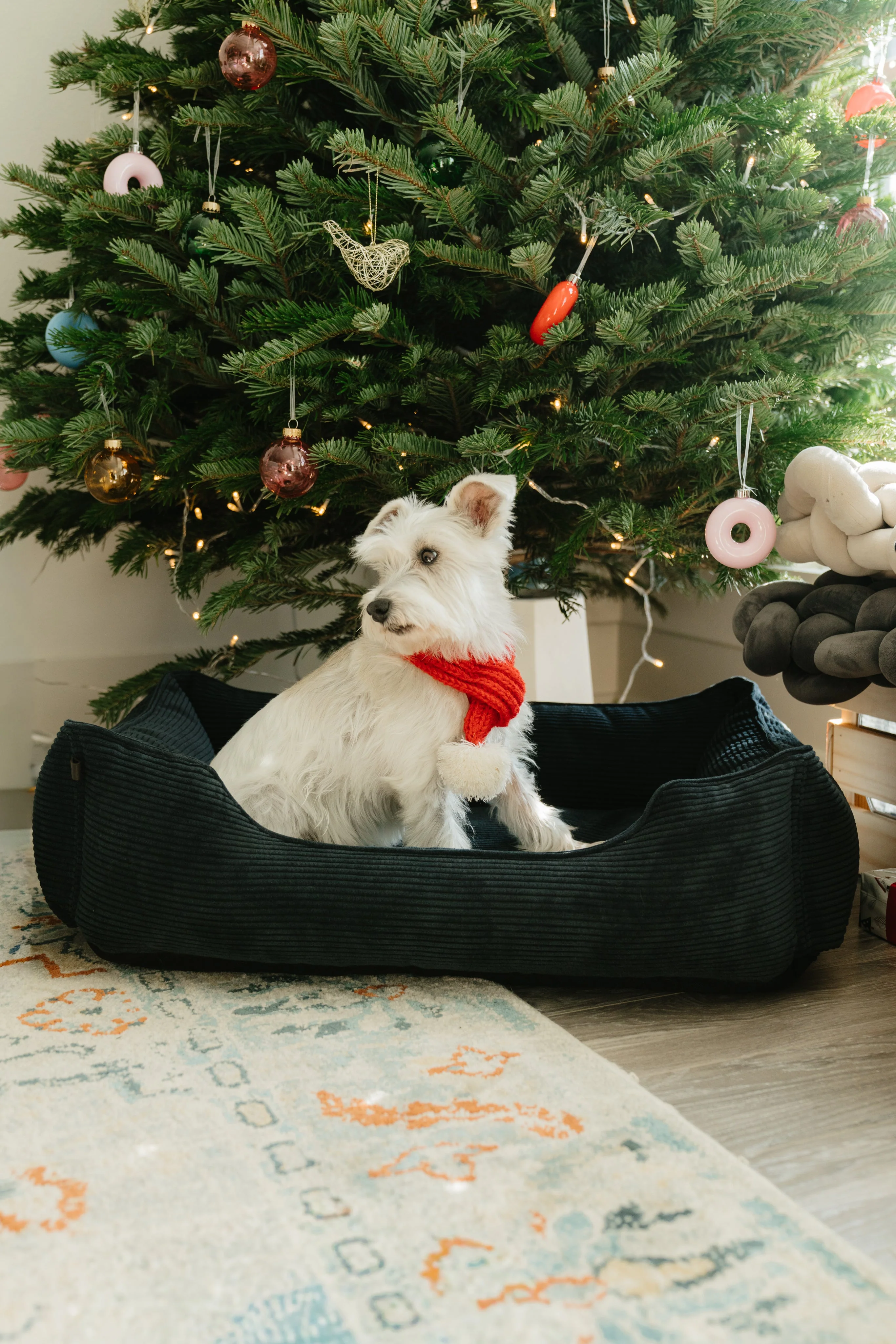 Fancy Corduroy Sleeper Dog Bed Graphite - Image 4