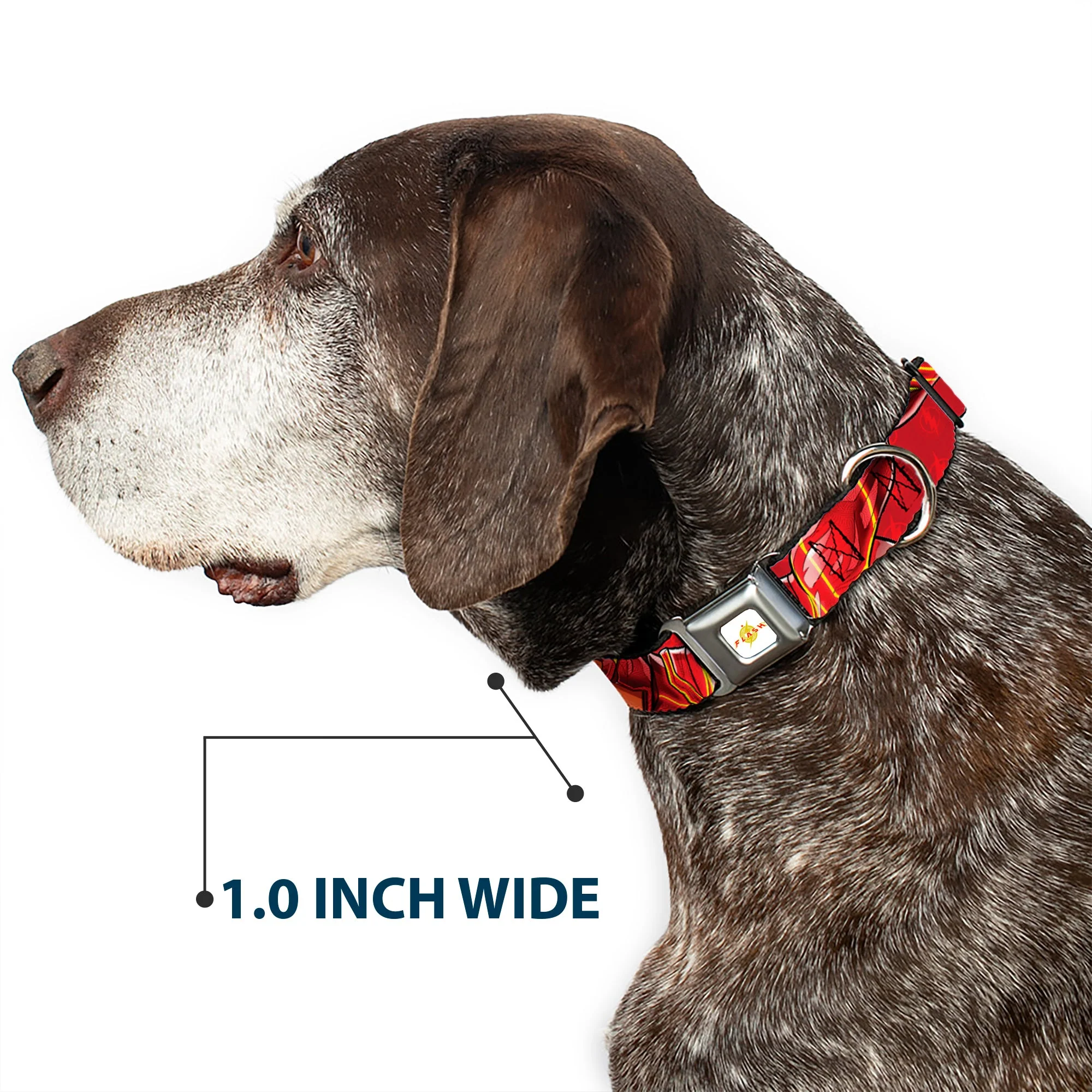 Flash 2023 Title Logo Full Color White/Yellow/Red Seatbelt Buckle Collar - The Flash 2023 2-Poses Close-Up Reds - Image 6