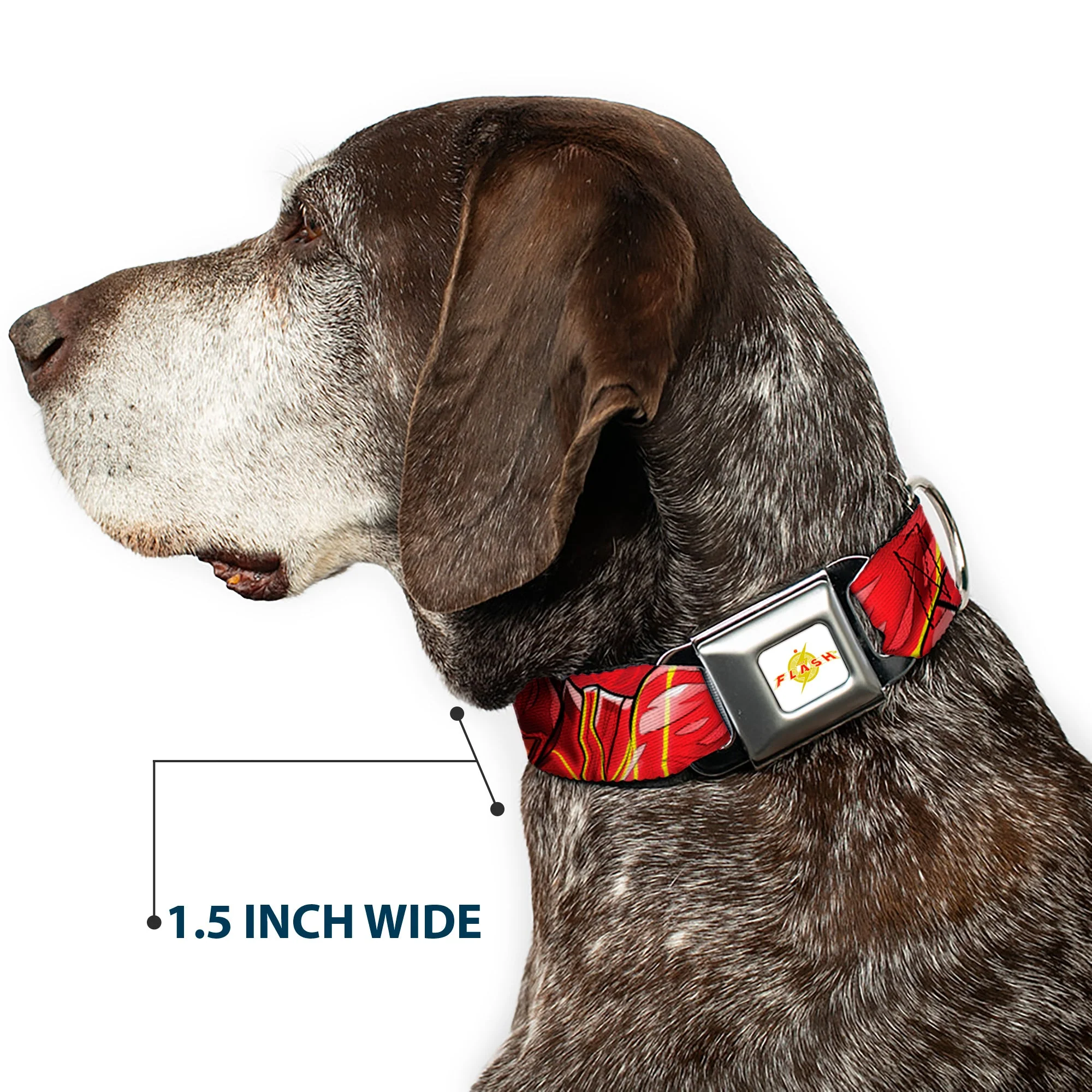 Flash 2023 Title Logo Full Color White/Yellow/Red Seatbelt Buckle Collar - The Flash 2023 2-Poses Close-Up Reds - Image 7