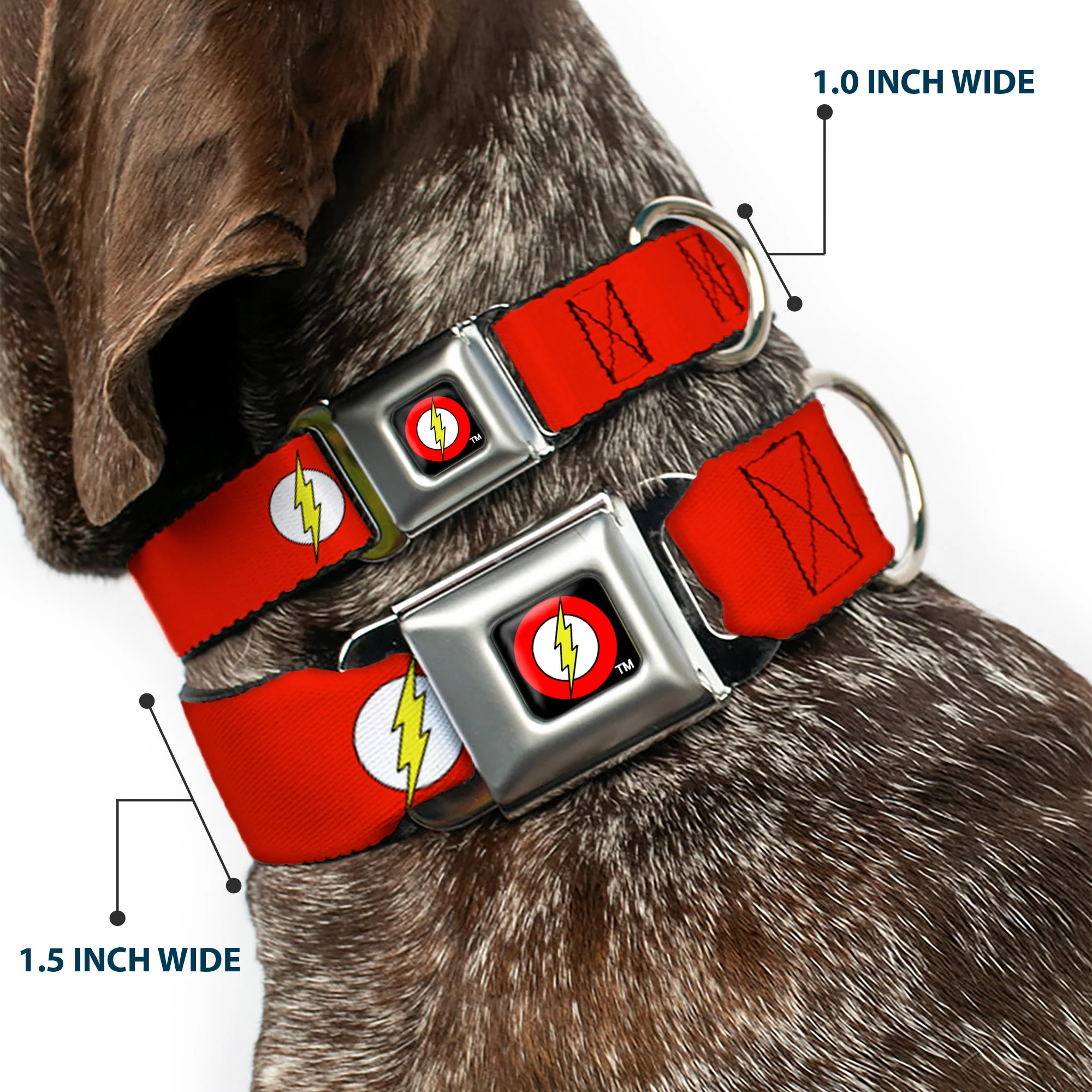 Flash Logo Black Seatbelt Buckle Collar - Flash Logo Red/White/Yellow - Image 2