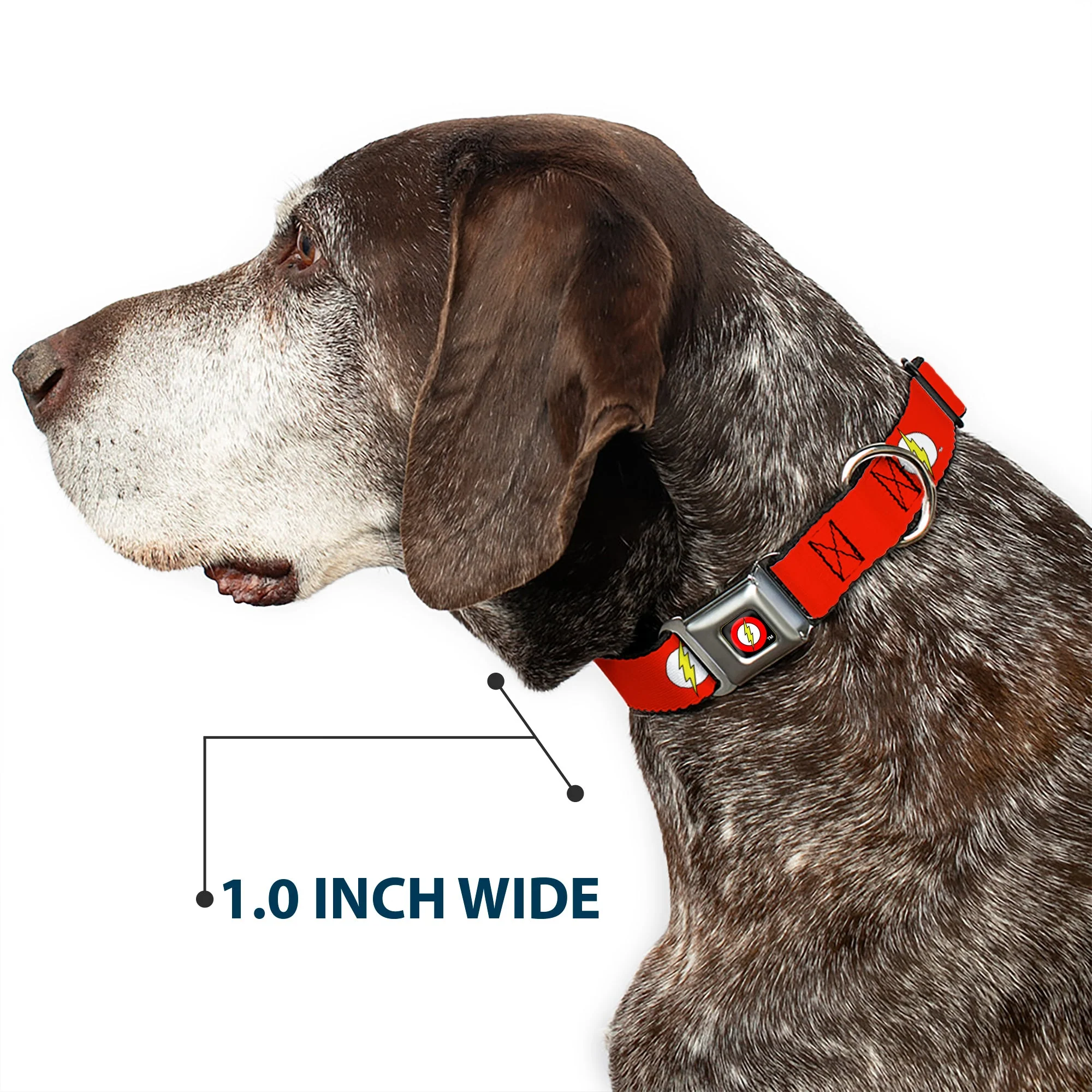 Flash Logo Black Seatbelt Buckle Collar - Flash Logo Red/White/Yellow - Image 6