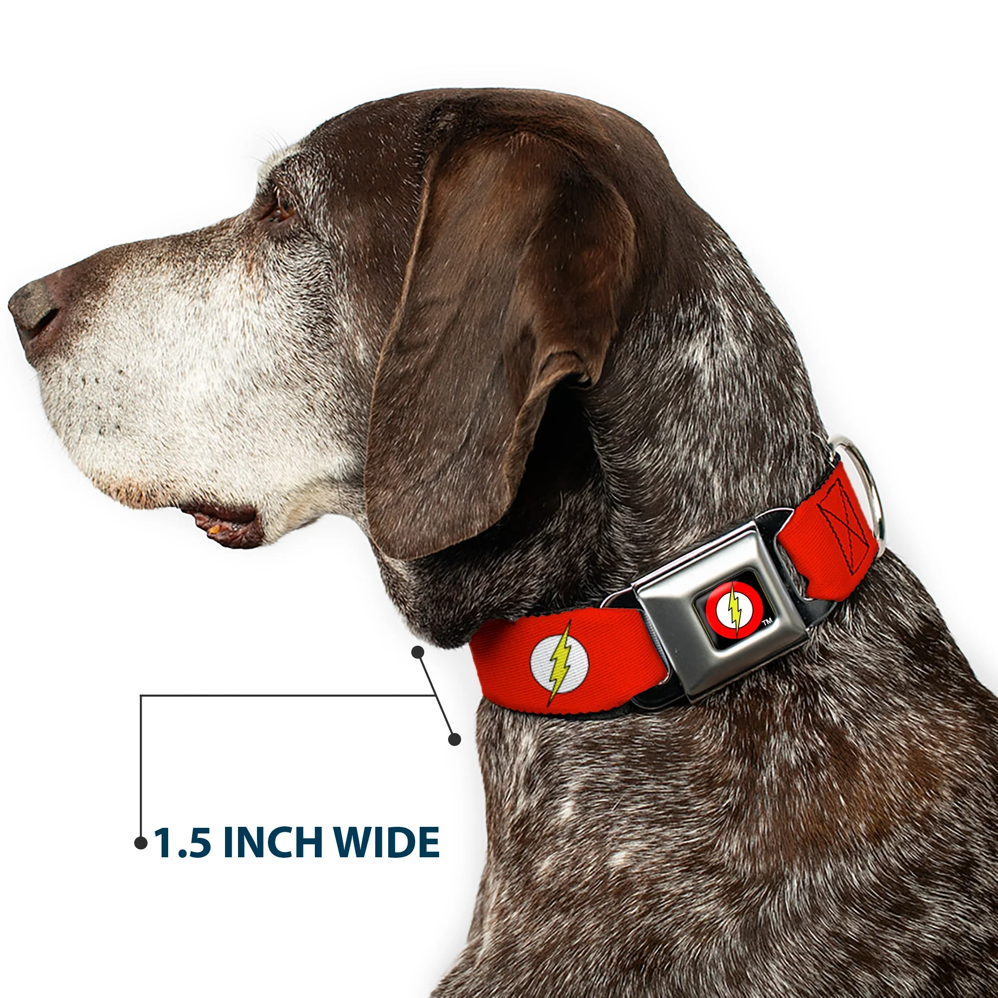 Flash Logo Black Seatbelt Buckle Collar - Flash Logo Red/White/Yellow - Image 7