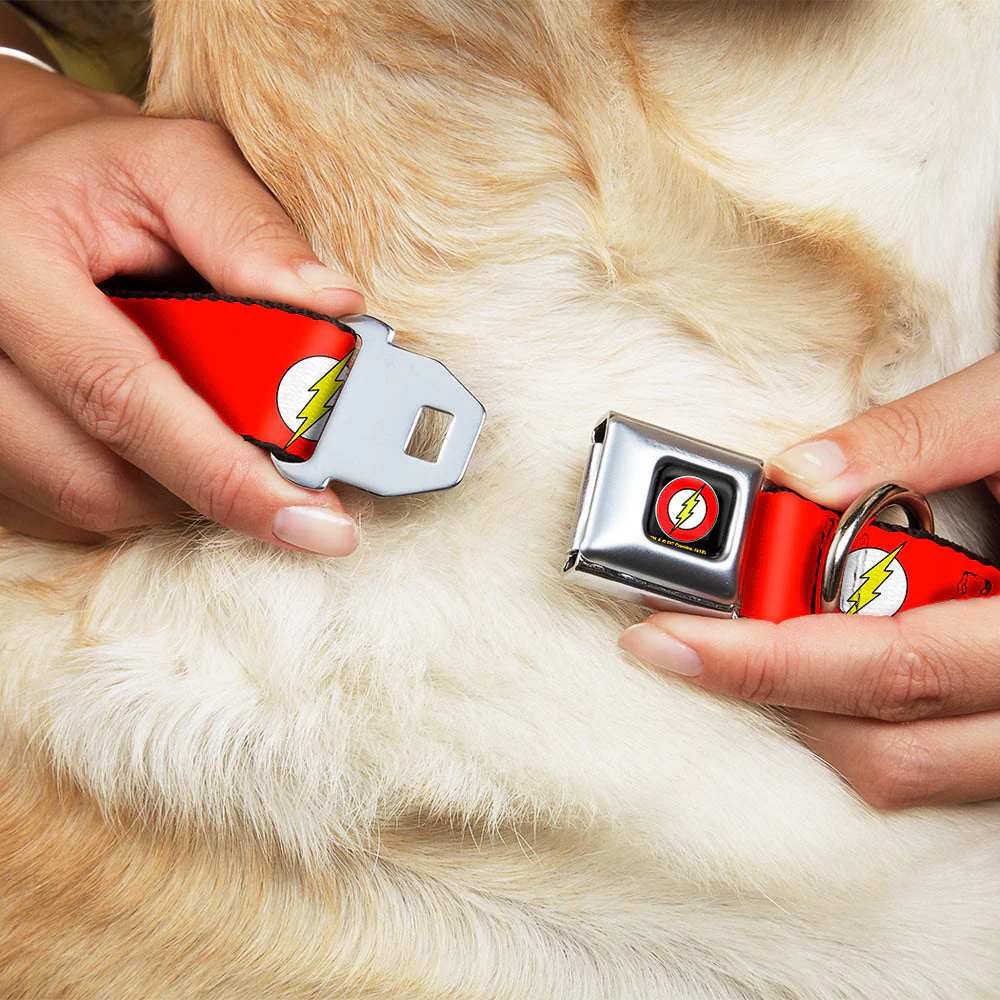 Flash Logo Black Seatbelt Buckle Collar - Flash Logo Red/White/Yellow - Image 8