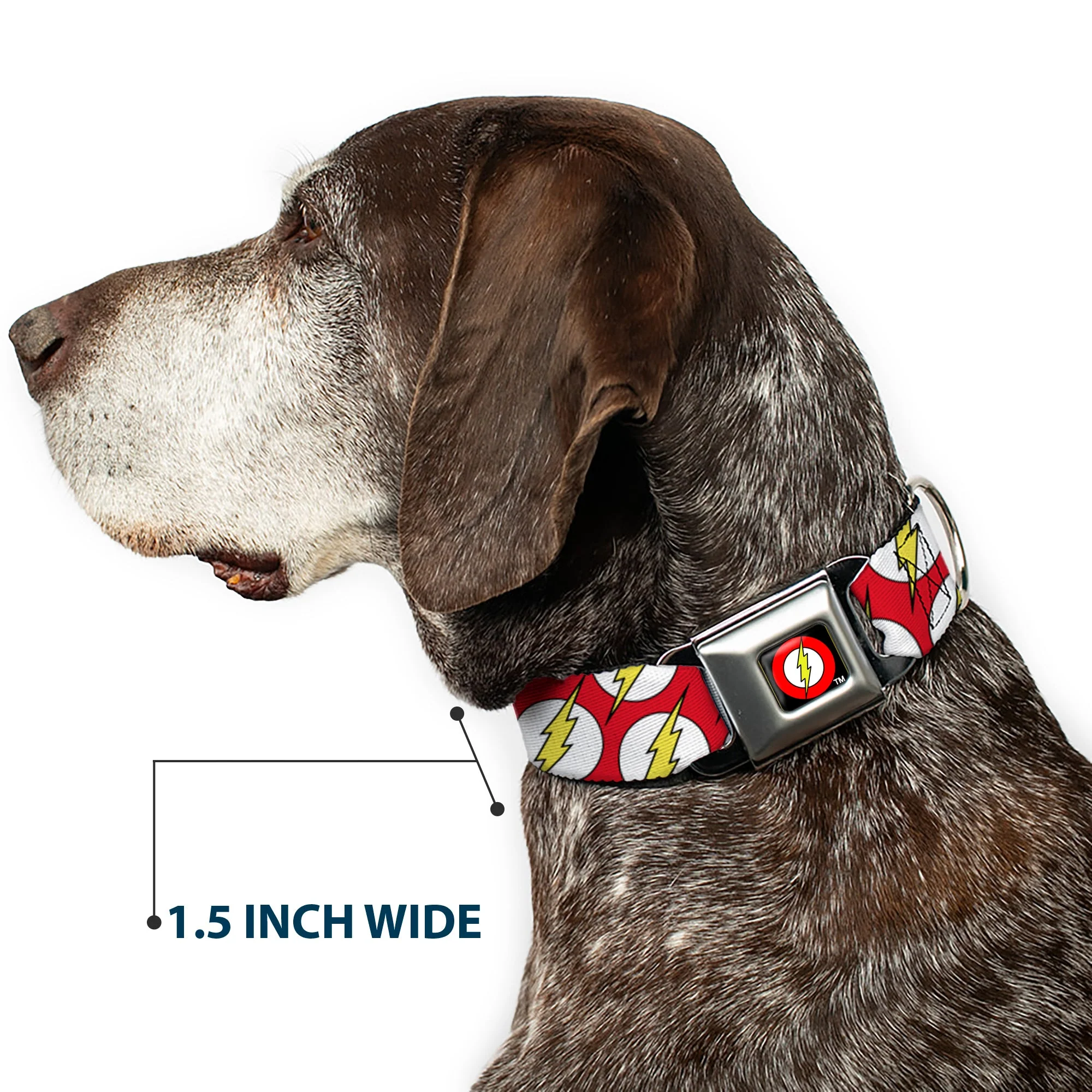 Flash Logo Black Seatbelt Buckle Collar - Flash Logo Scattered Red/White/Yellow - Image 7