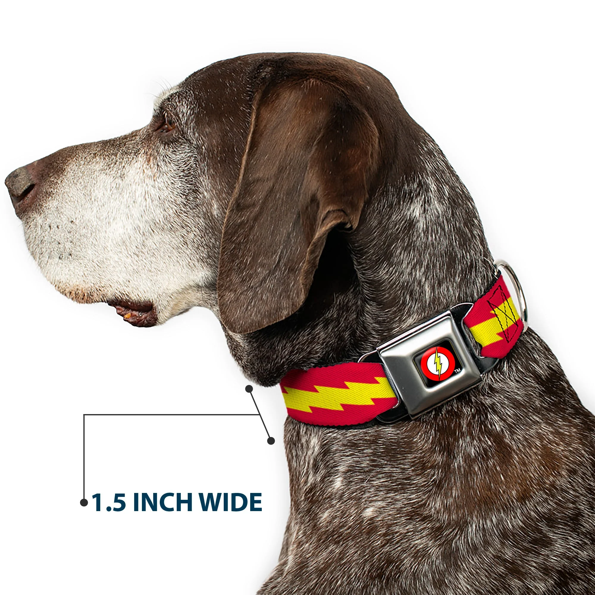 Flash Logo Black Seatbelt Buckle Collar - The Flash Bolt Stripe Red/Yellow - Image 7