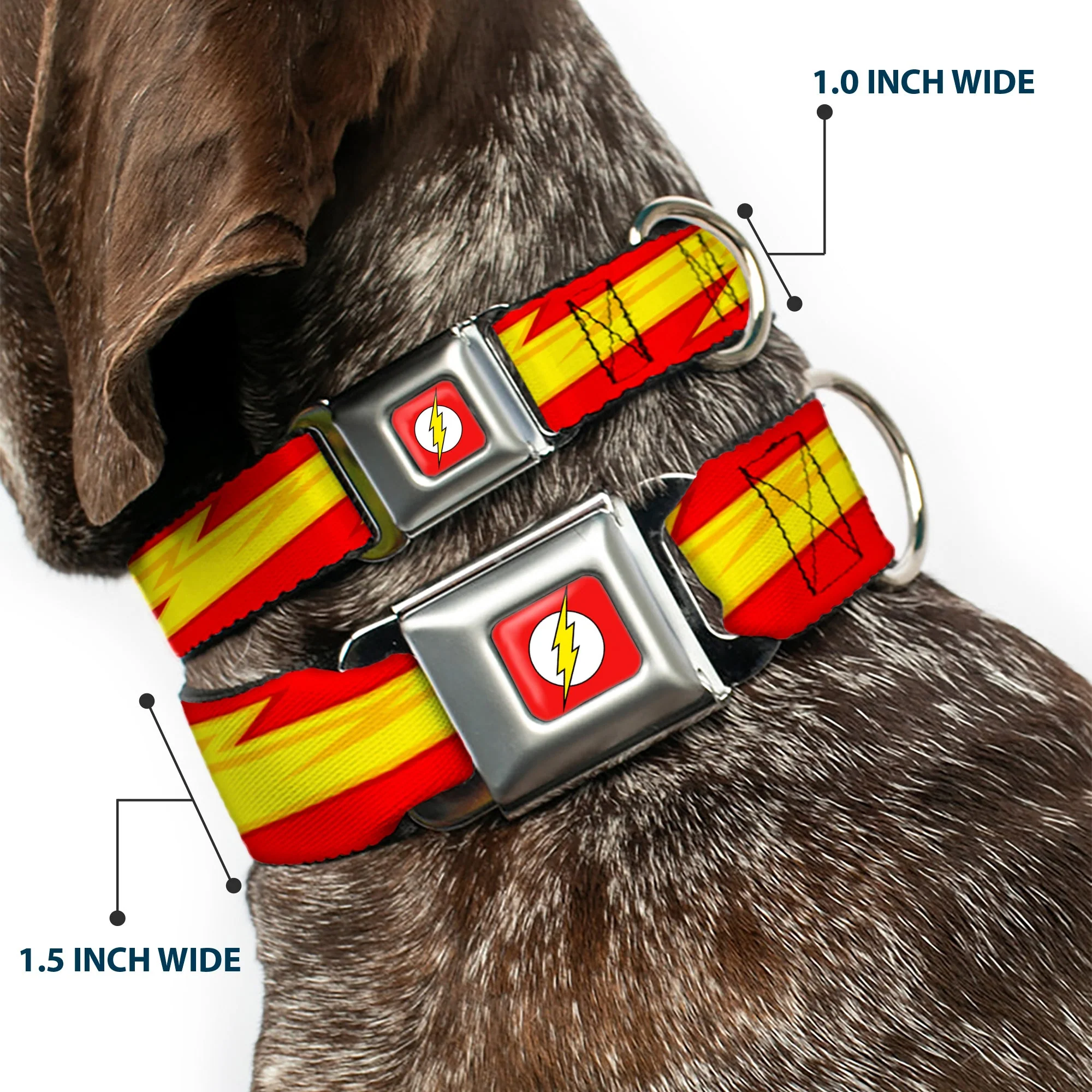 Flash Logo Full Color Red White Yellow Seatbelt Buckle Collar - The Flash Bolt Stripe Reds/Yellows - Image 2