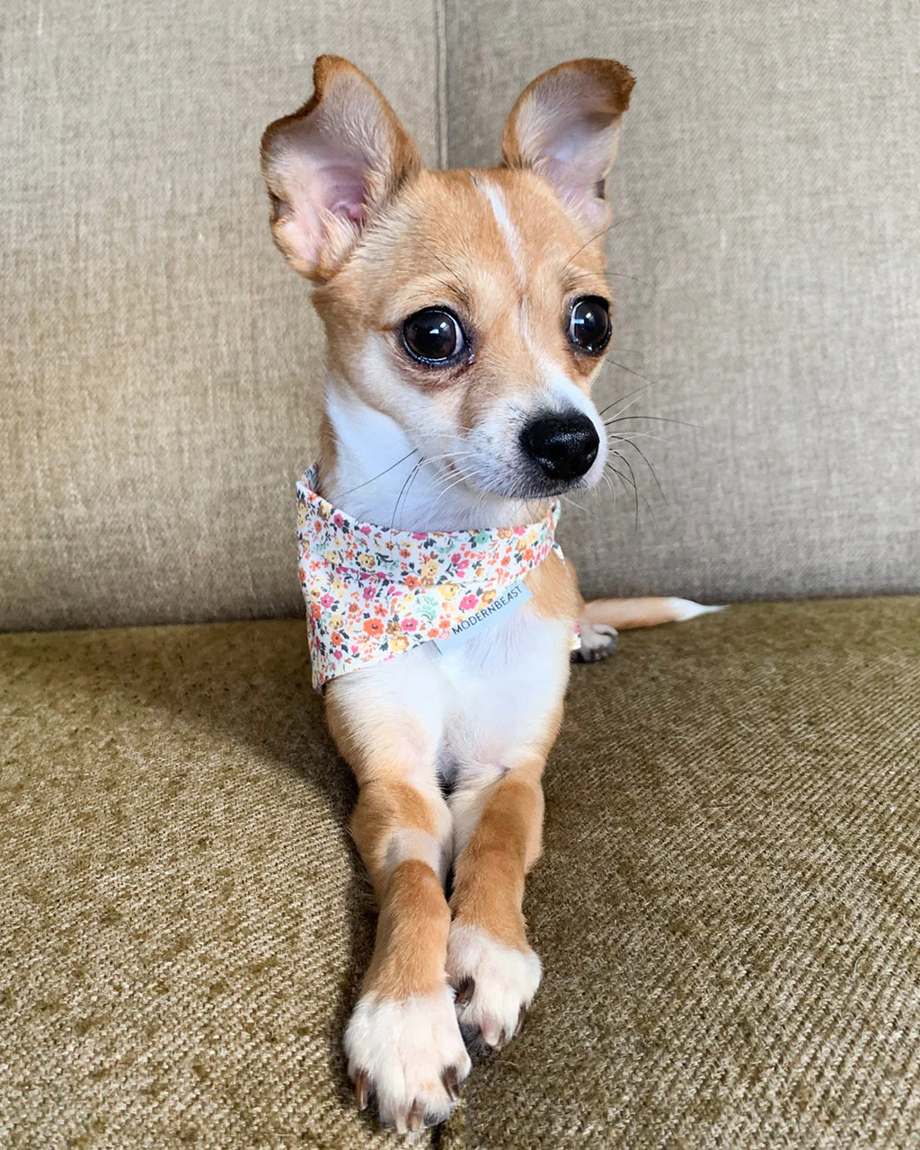 FLORAL BANDANA - Image 4