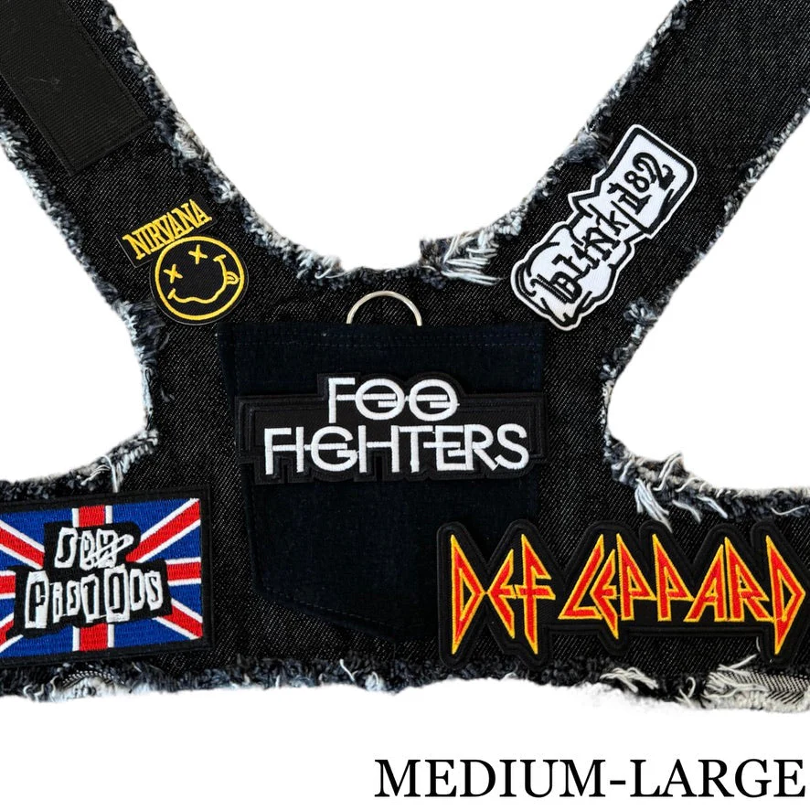 Foo Fighters Harness - Image 2