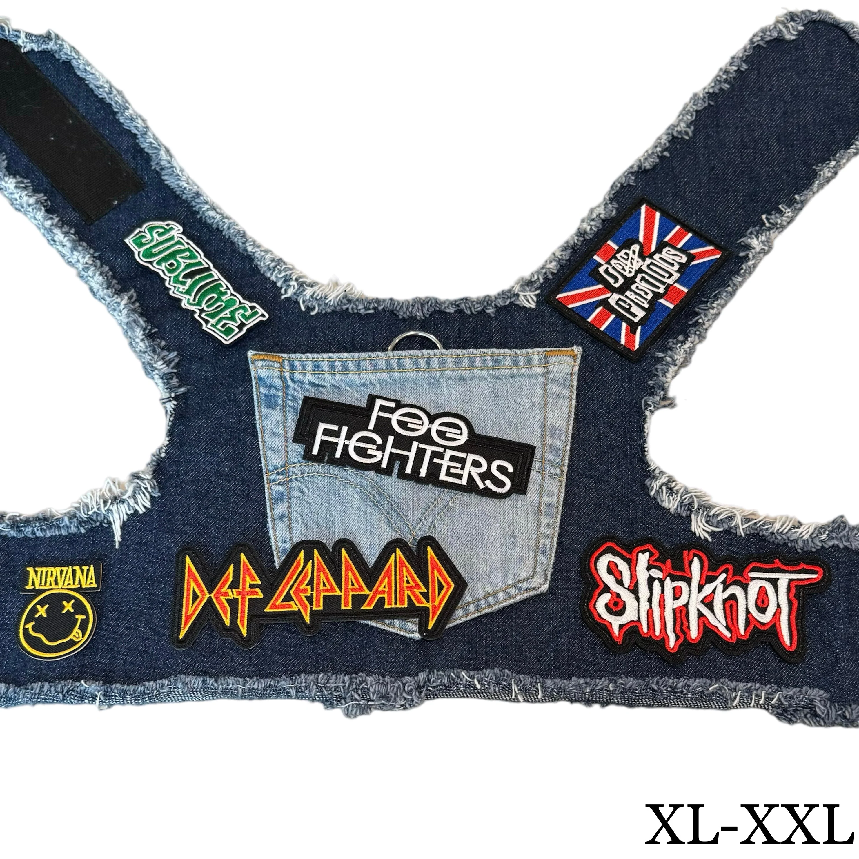 Foo Fighters Harness - Image 4