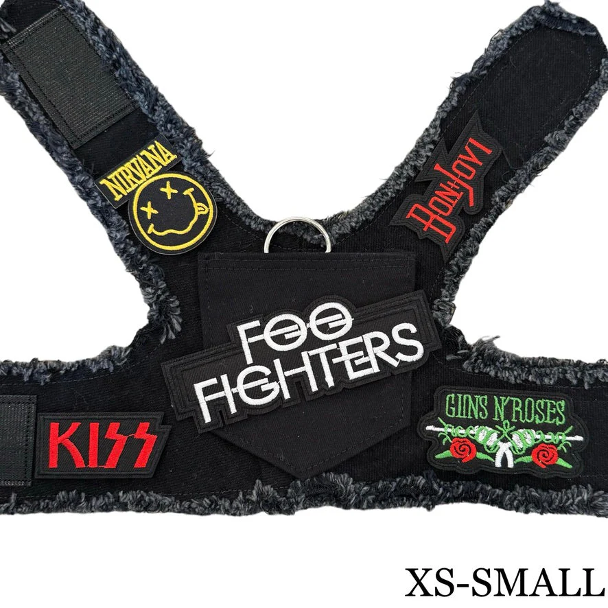 Foo Fighters Harness - Image 5