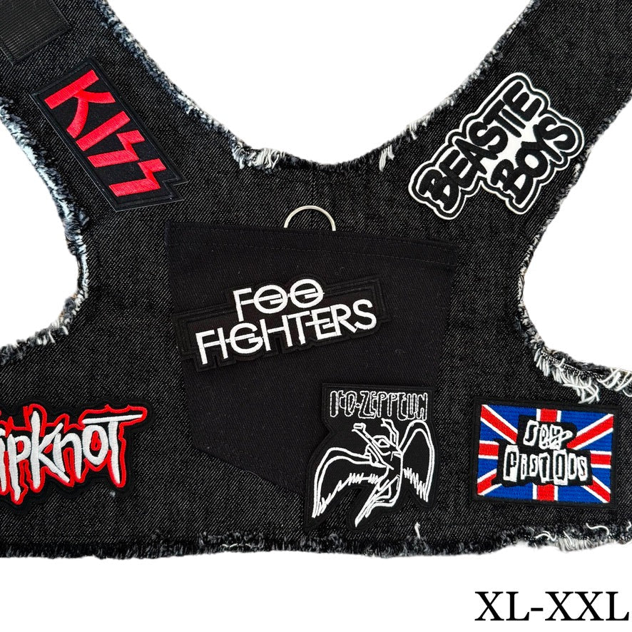 Foo Fighters Harness - Image 7