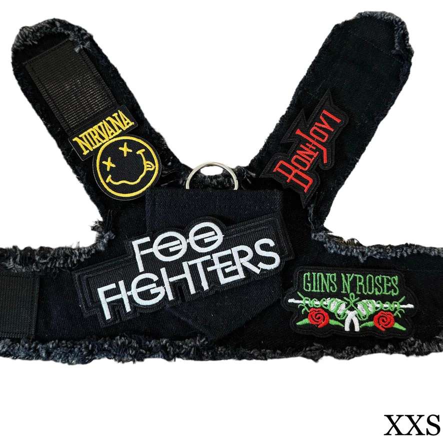 Foo Fighters Harness - Image 9