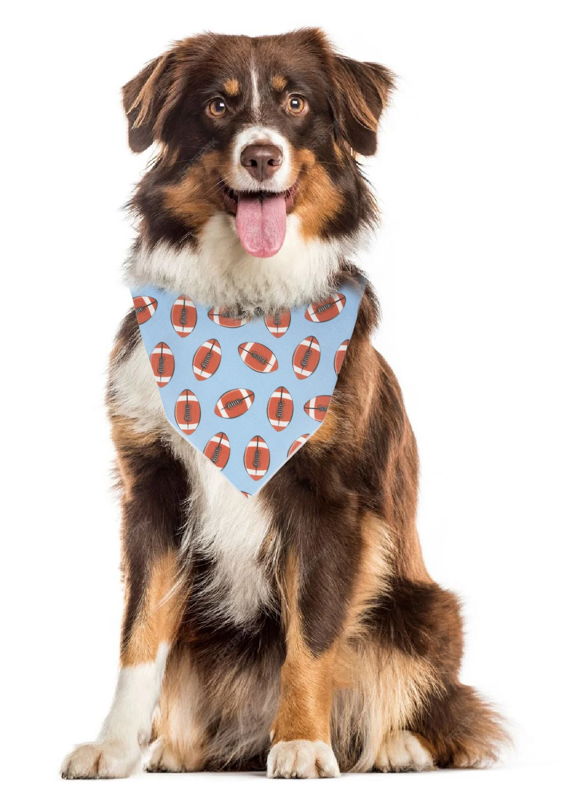 Football Pet Bandana - Image 2