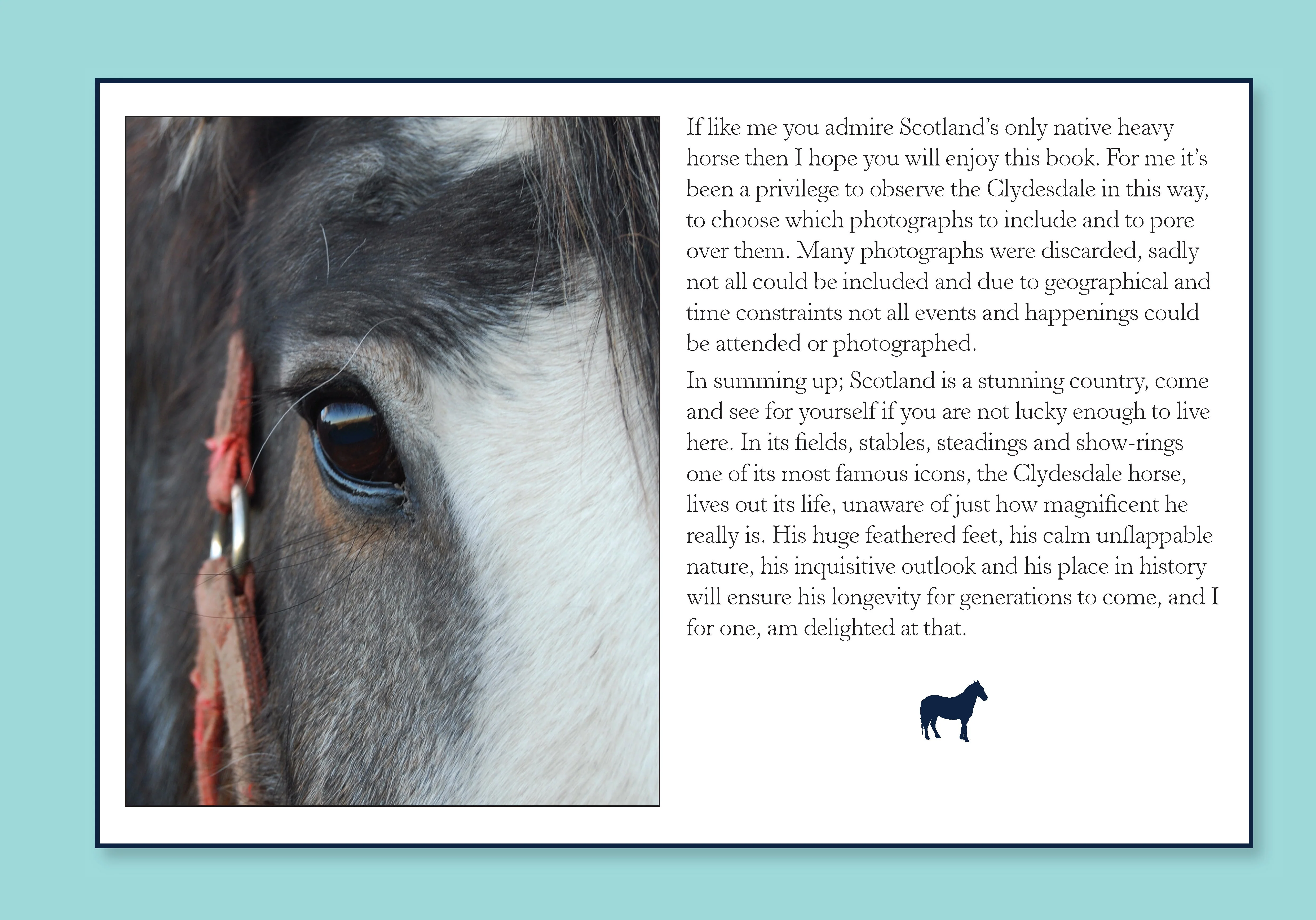 For Love of the Clydesdale Horse - Image 2