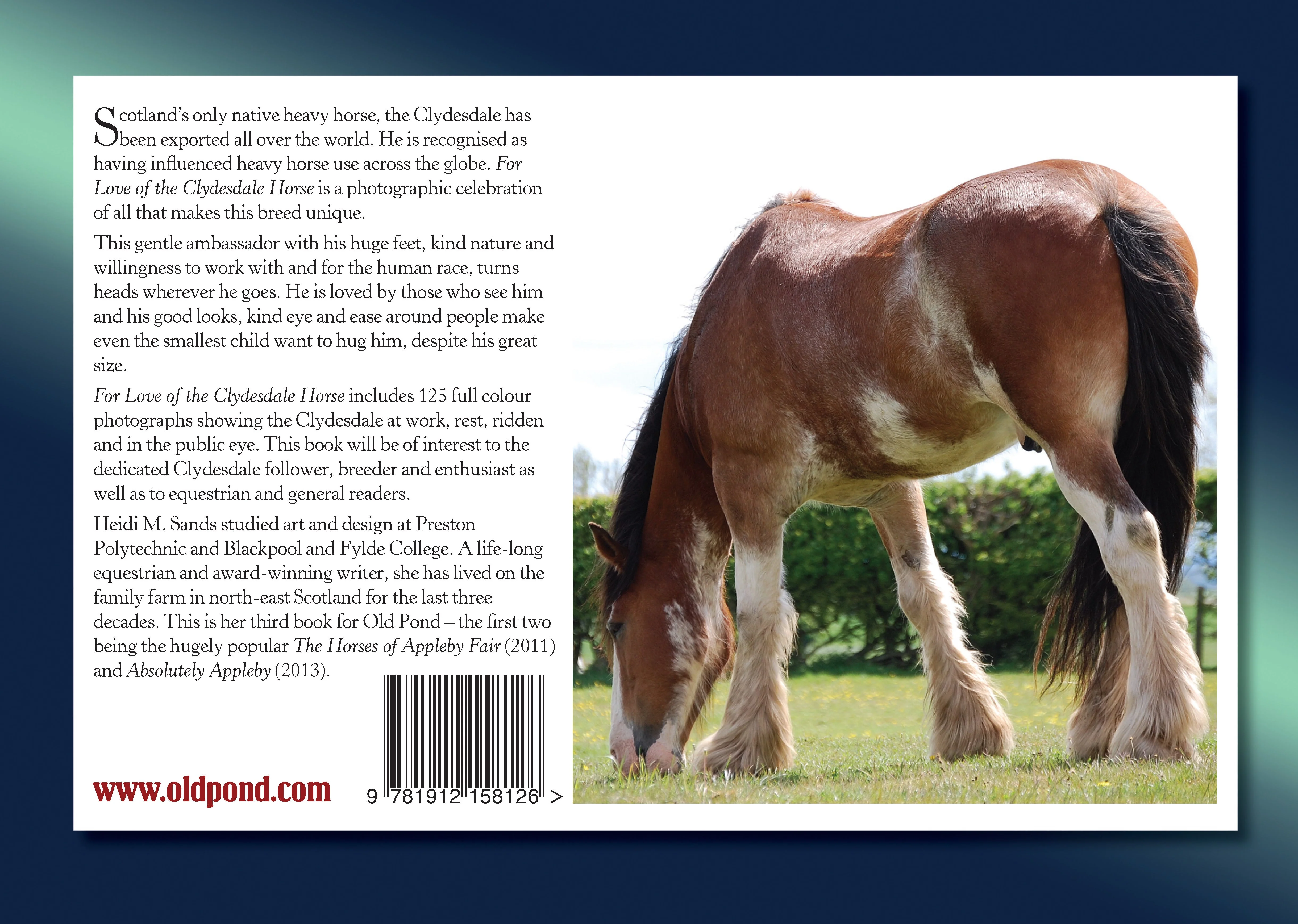 For Love of the Clydesdale Horse - Image 6