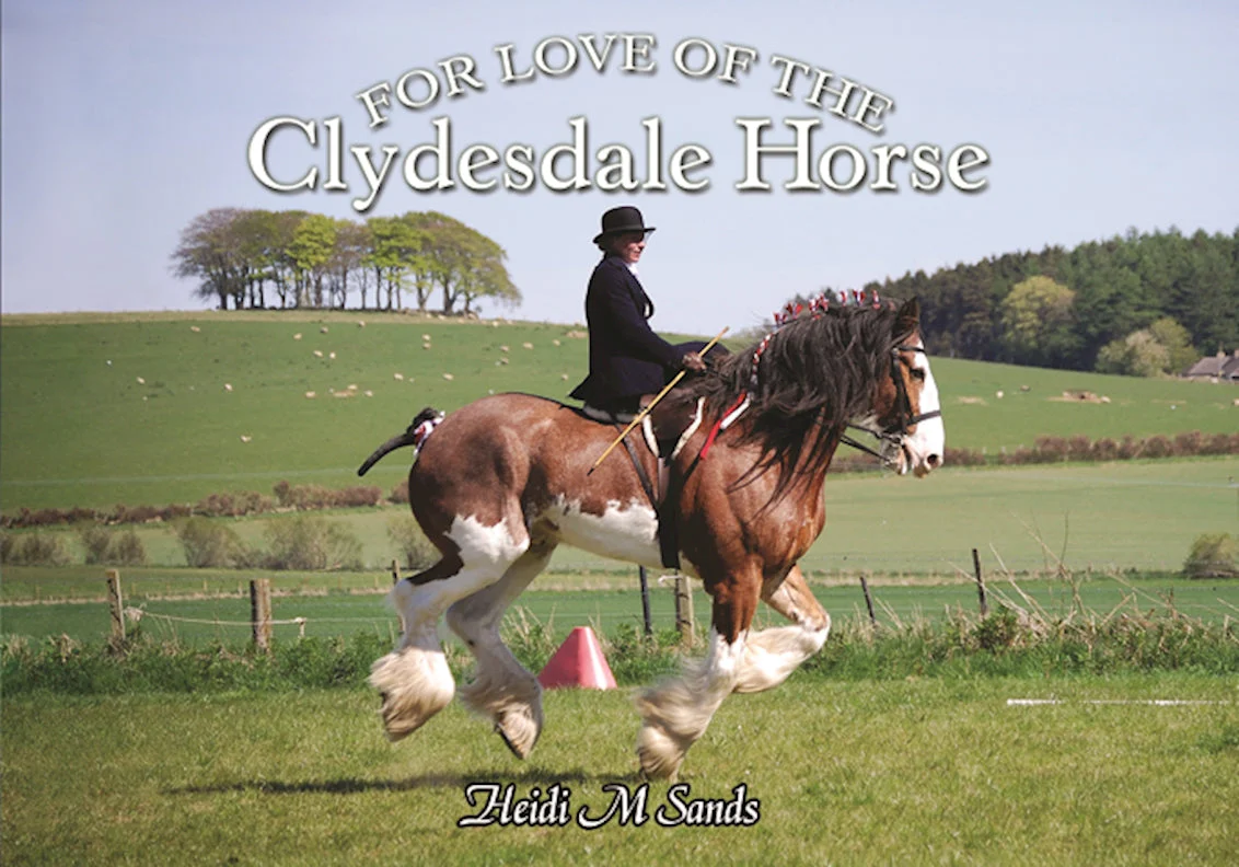 For Love of the Clydesdale Horse - Image 7