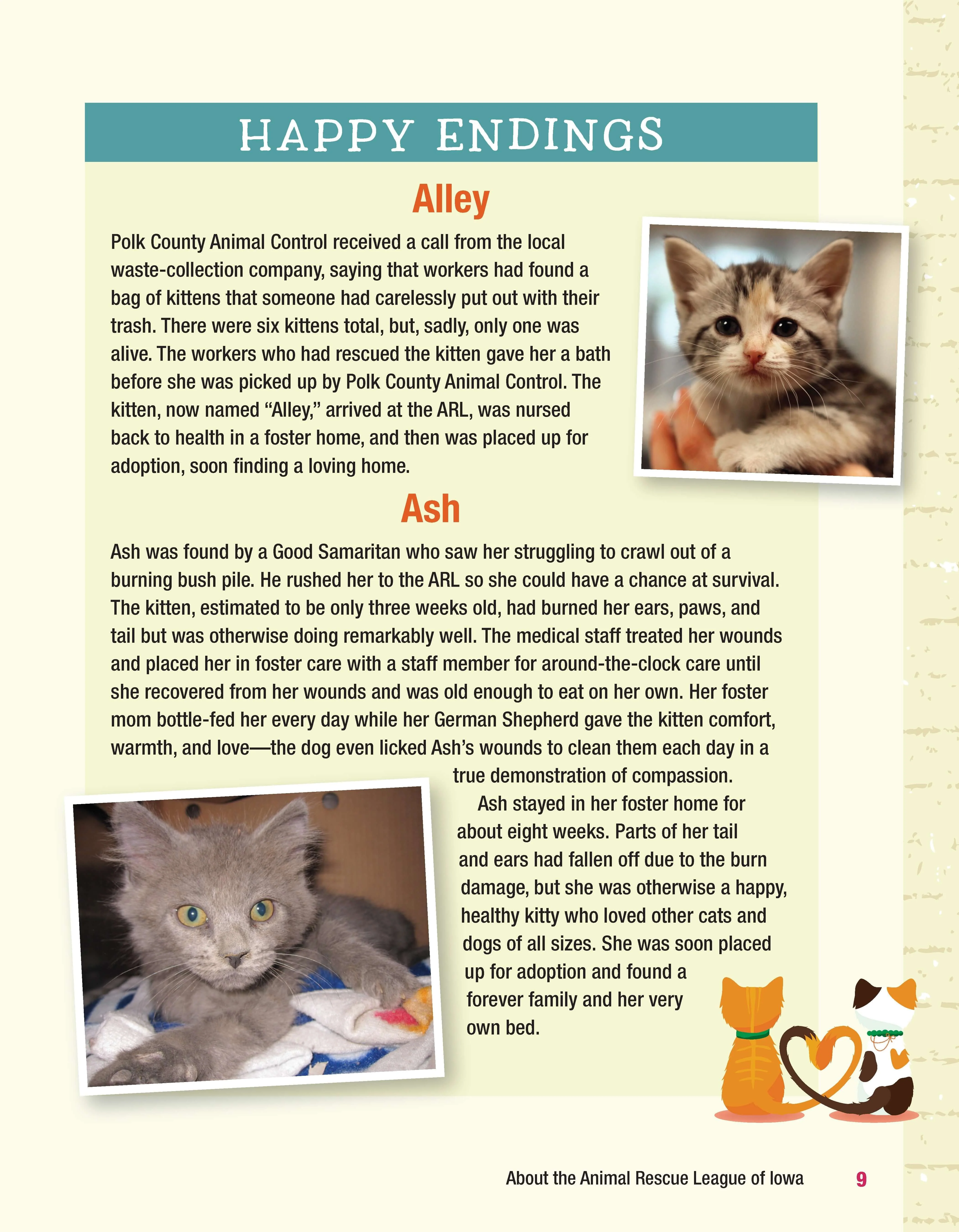 For the Love of Rescue Cats - Image 9