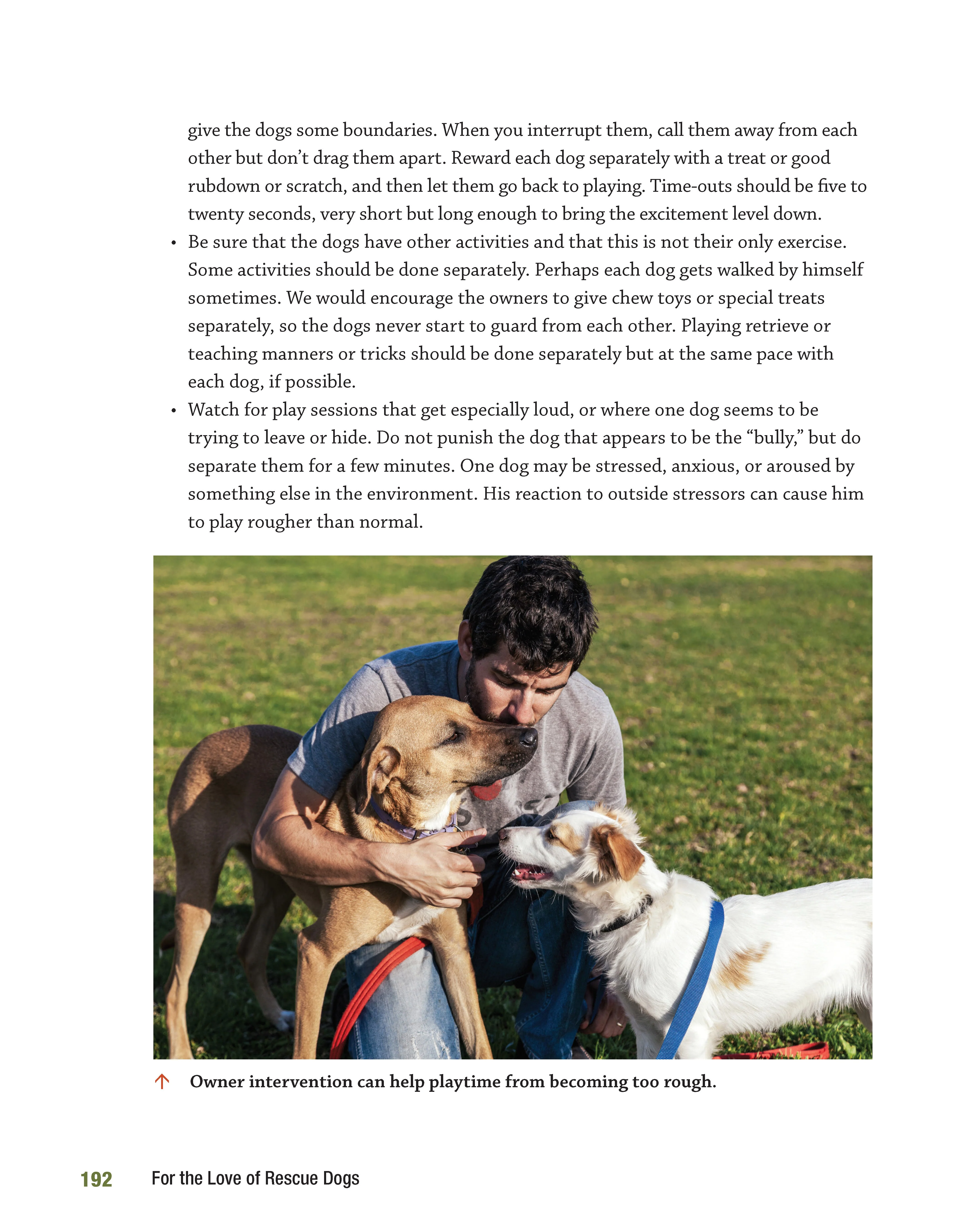 For the Love of Rescue Dogs - Image 9