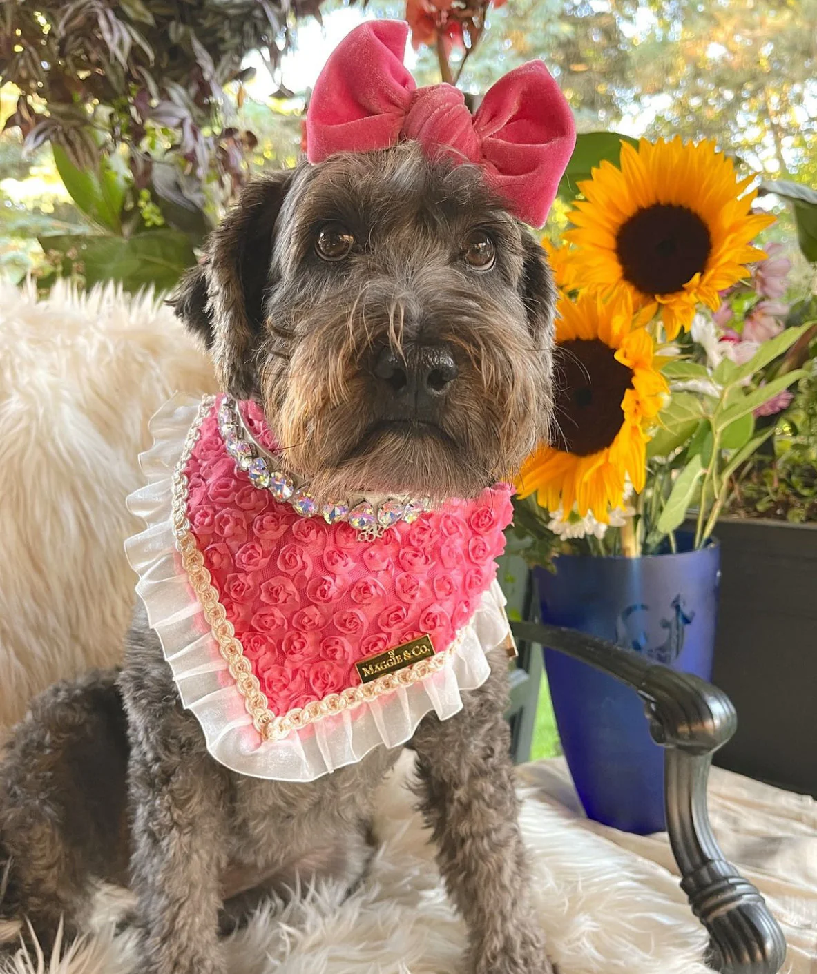 Forever Bliss: Miss Bailey - Image 9