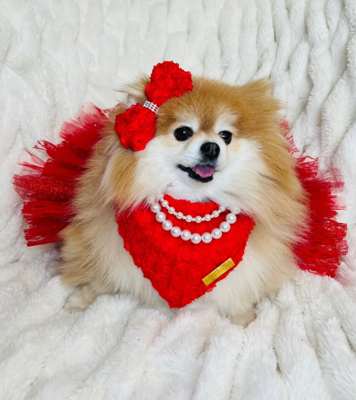 Forever Bliss: Scarlet - Image 2