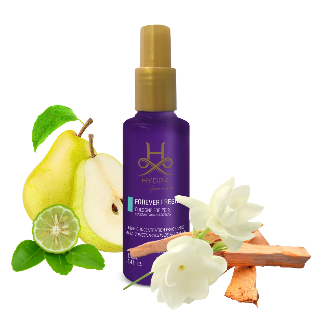 Forever Fresh Cologne Mini 4.4oz by Hydra - Image 3