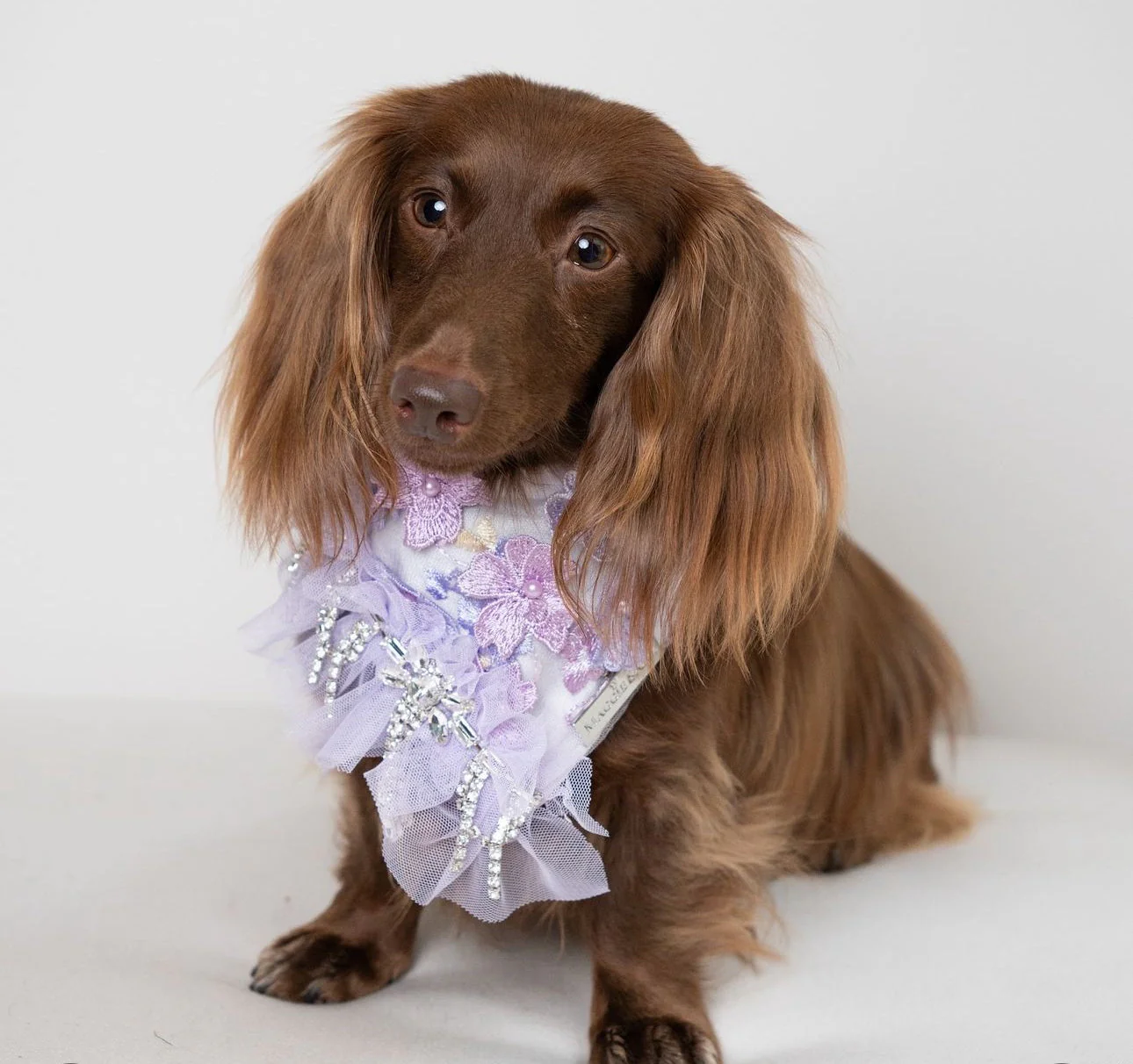 Formal Affair: Shades of Lavender - Image 4