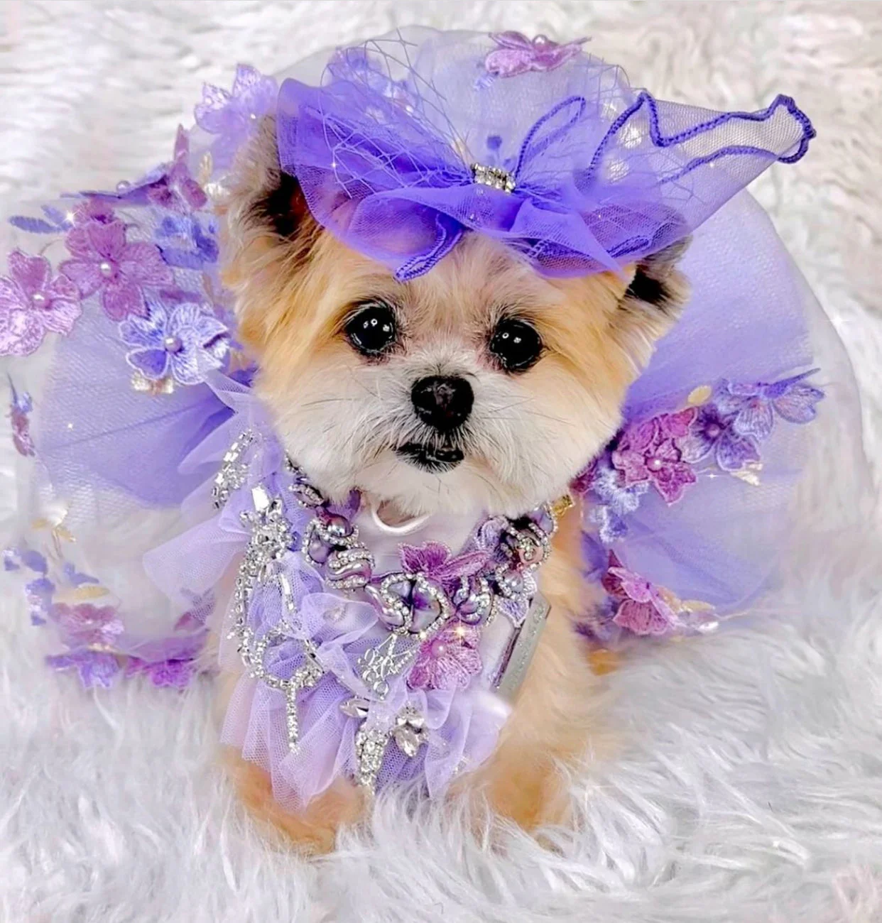 Formal Affair: Shades of Lavender (with feathers) - Image 2