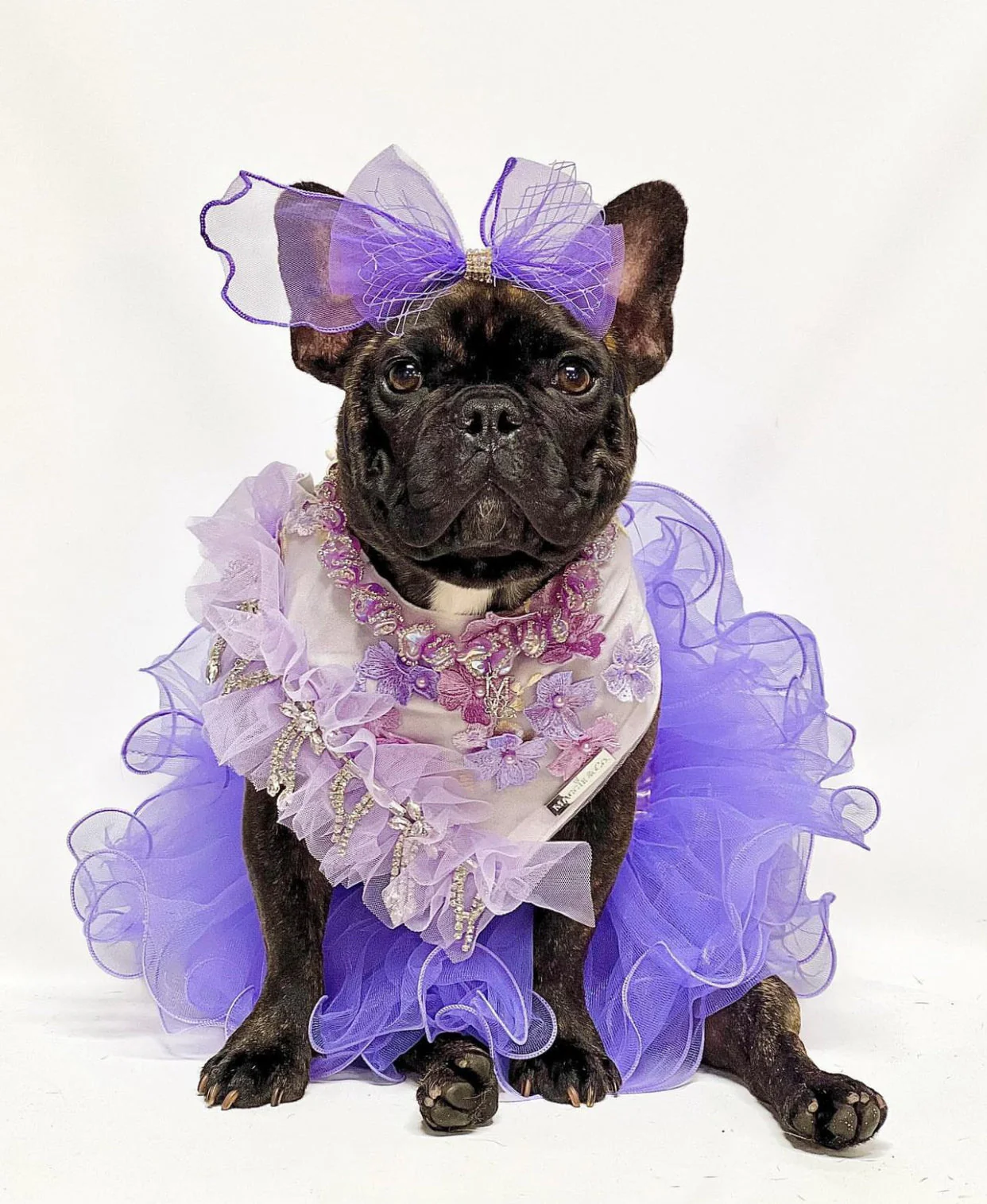 Formal Affair: Shades of Lavender (with feathers) - Image 3