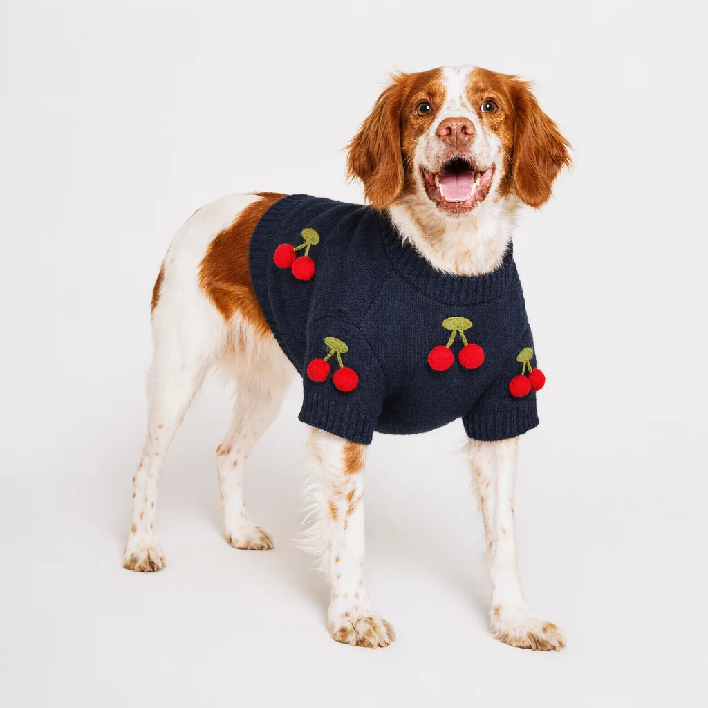 Dog Sweater - Cherries 3D Icon | Found My Animal