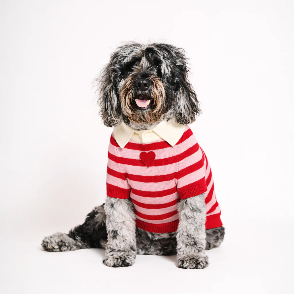 Found My Animal I Love You Polo - Image 4