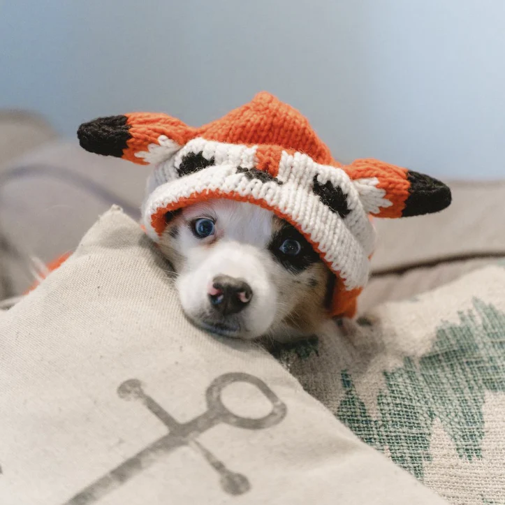 Foxy Hoodie Dog Sweater - Image 2