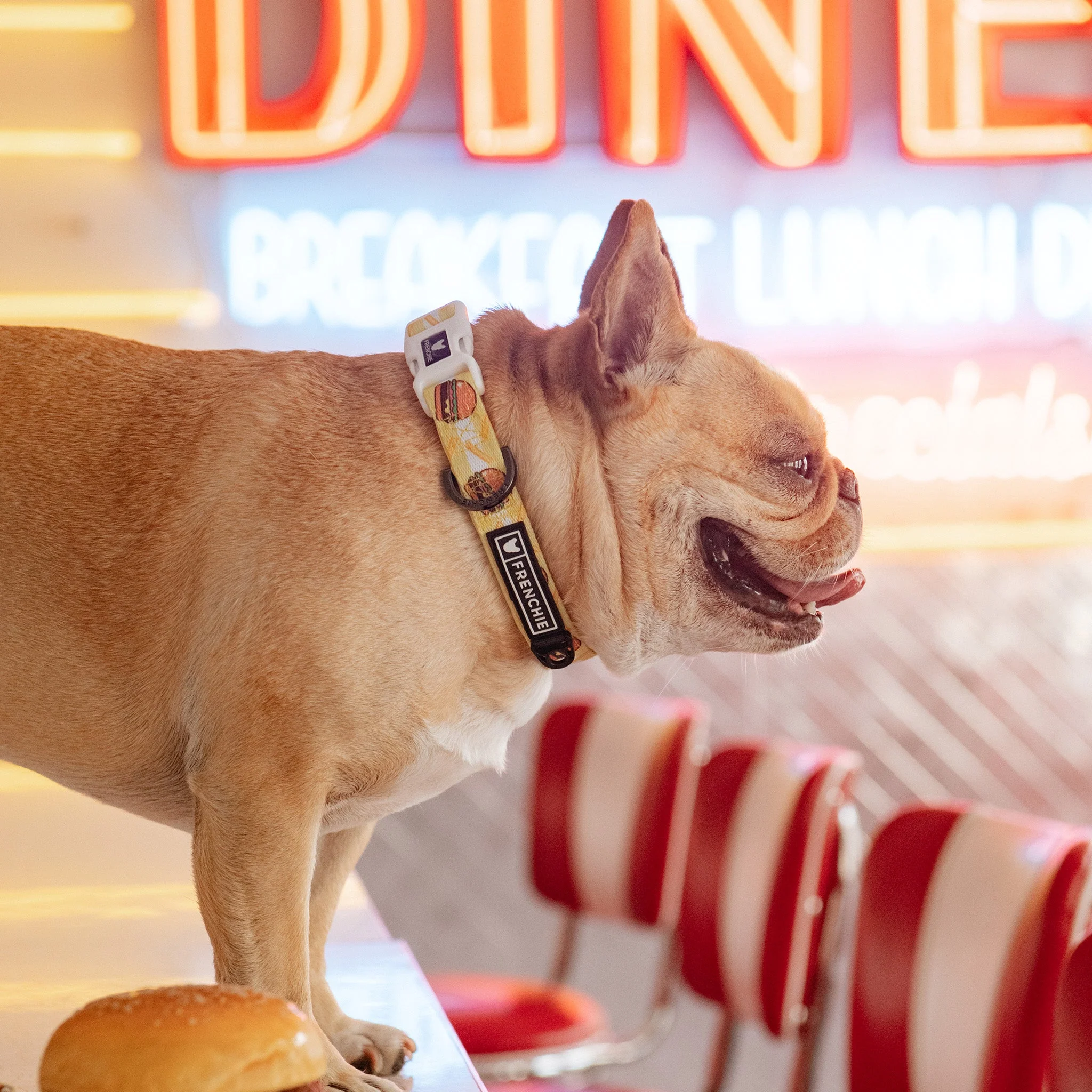 Frenchie Comfort Collar - Burger N Fries - Image 5