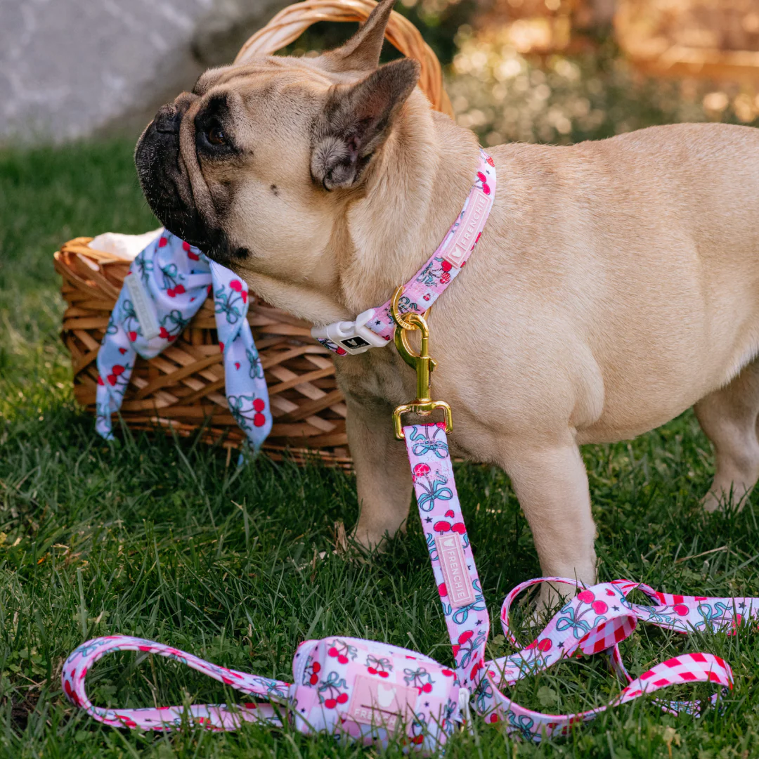 Frenchie Comfort Collar - Cherries Red - Image 3