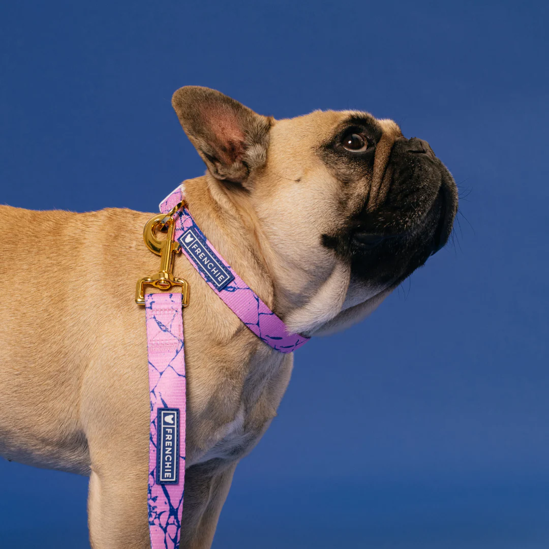 Frenchie Comfort Collar - Pink Marble - Image 4
