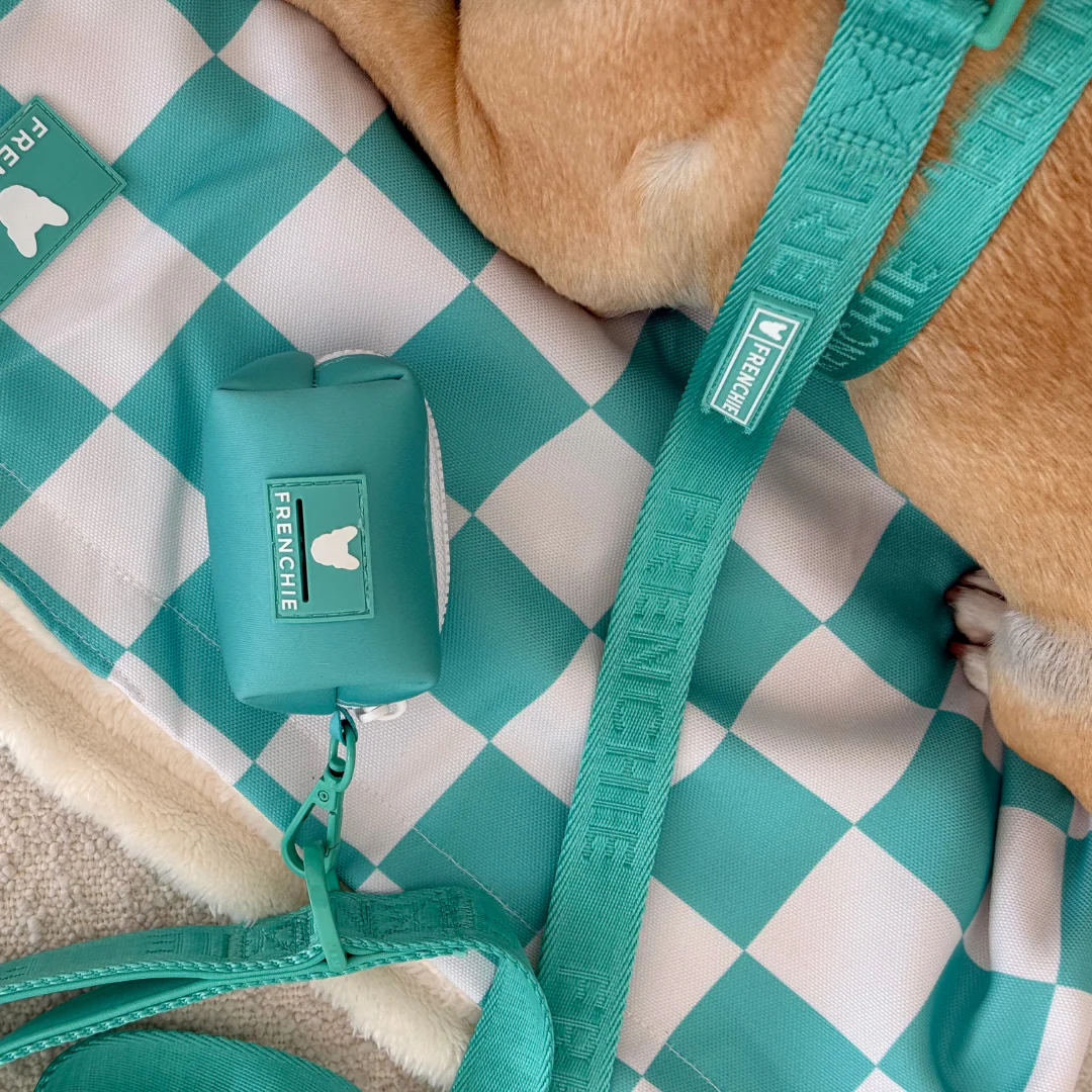 Frenchie Comfort Leash - Aqua - Image 4