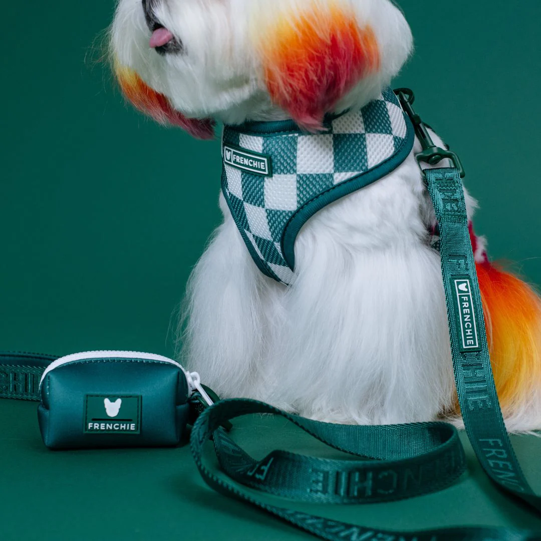 Frenchie Comfort Leash - Emerald City - Image 3