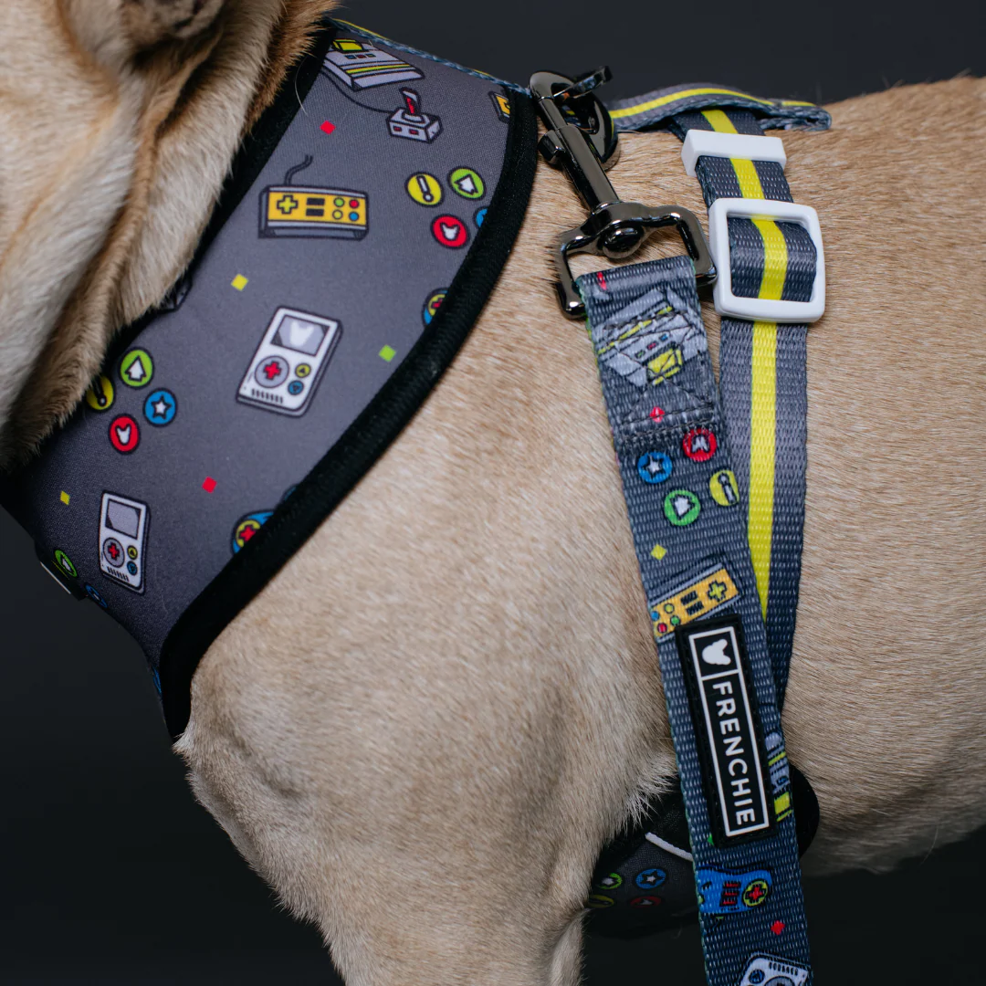 Frenchie Comfort Leash - Gamer - Image 5