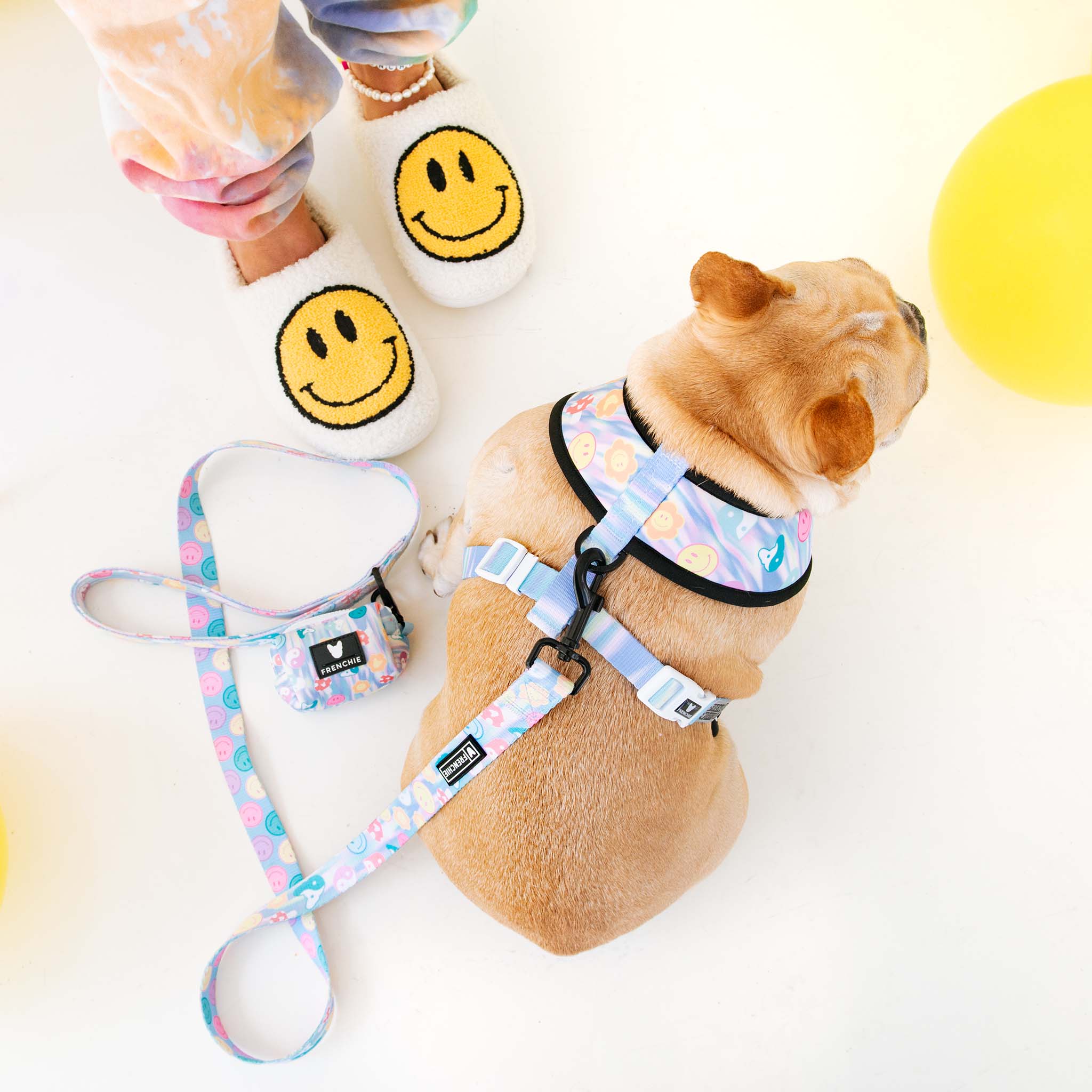 Frenchie Comfort Leash - Good Vibes - Image 2