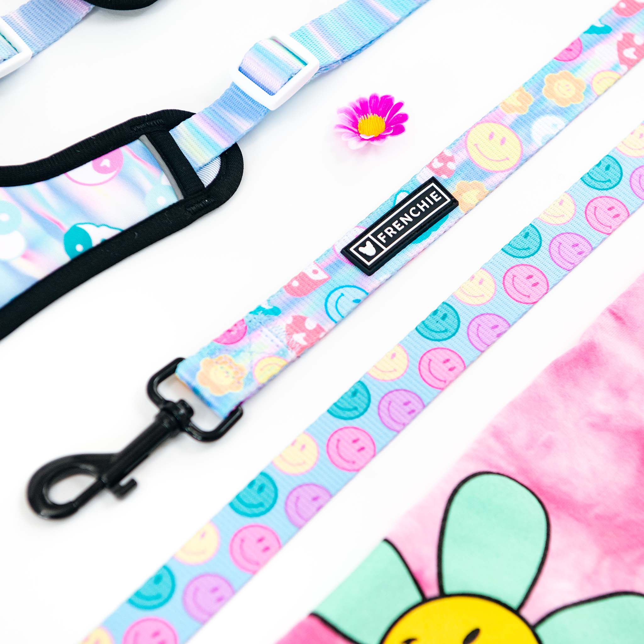 Frenchie Comfort Leash - Good Vibes - Image 7