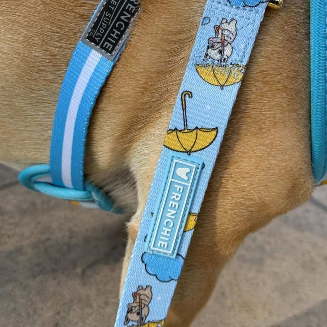 Frenchie Comfort Leash - Its Raining Frenchies - Image 3