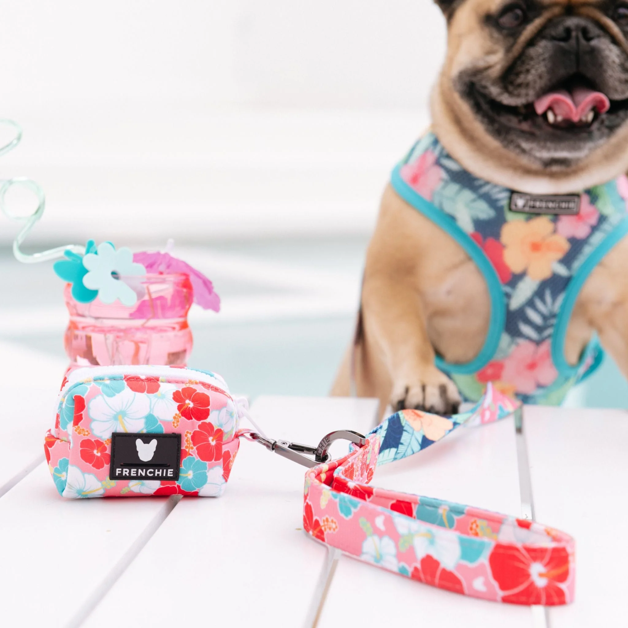 Frenchie Comfort Leash - Paradise - Image 7