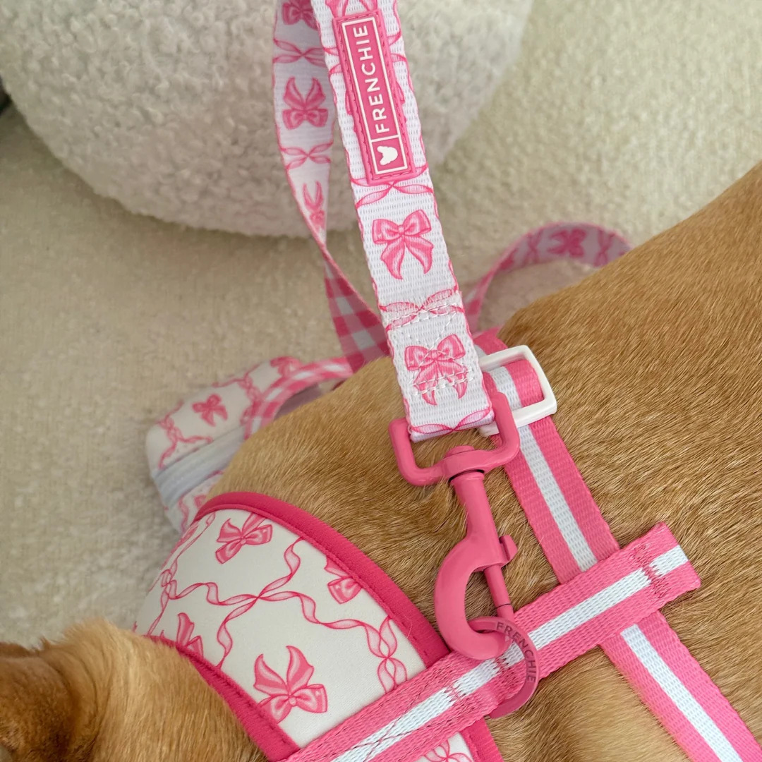 Frenchie Comfort Leash - Pink Bows - Image 4