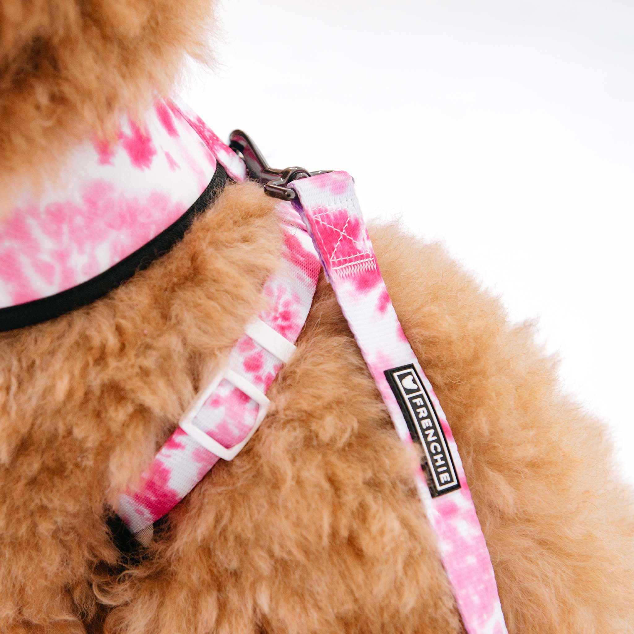 Frenchie Comfort Leash - Pink Tie Dye - Image 6