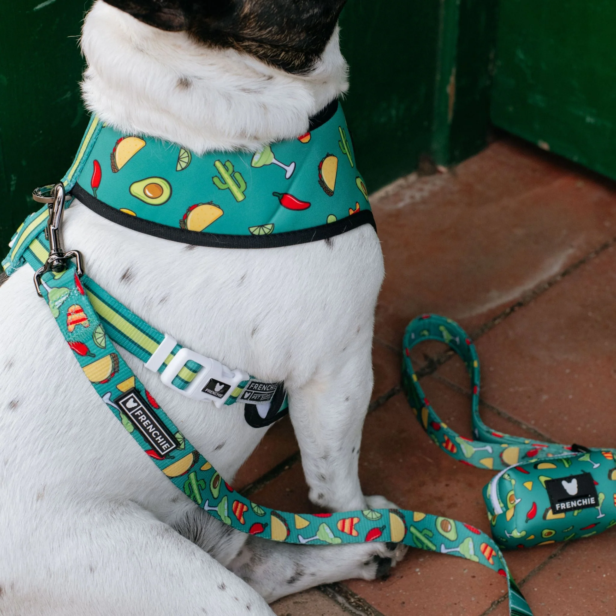 Frenchie Comfort Leash - Taco Tuesday (Green) - Image 4