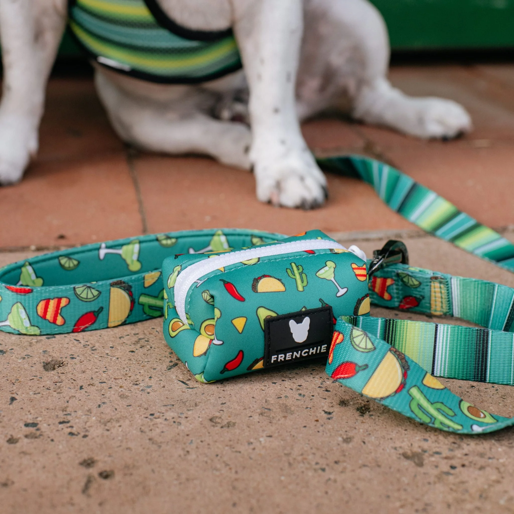 Frenchie Comfort Leash - Taco Tuesday (Green) - Image 5