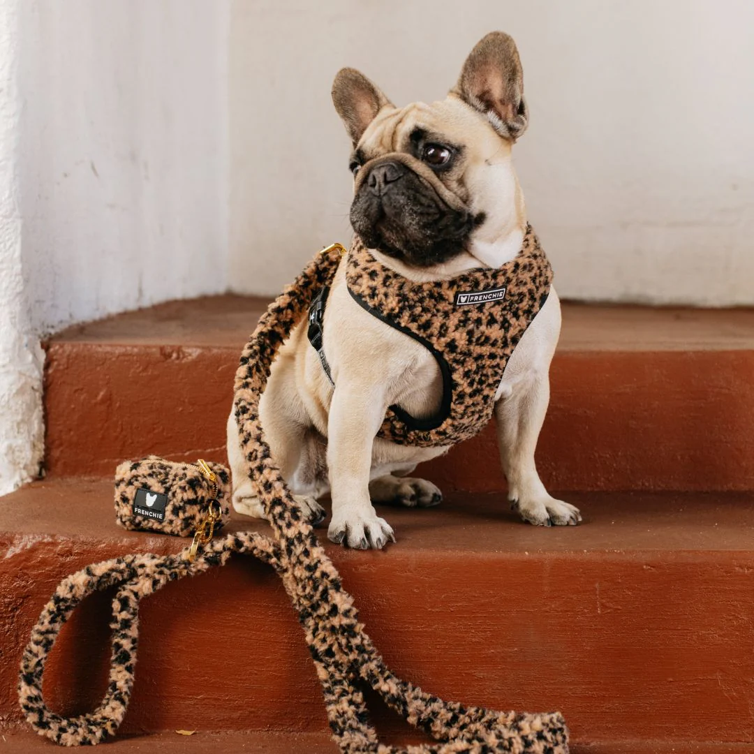 Frenchie Comfort Leash - Teddy Leopard - Image 5